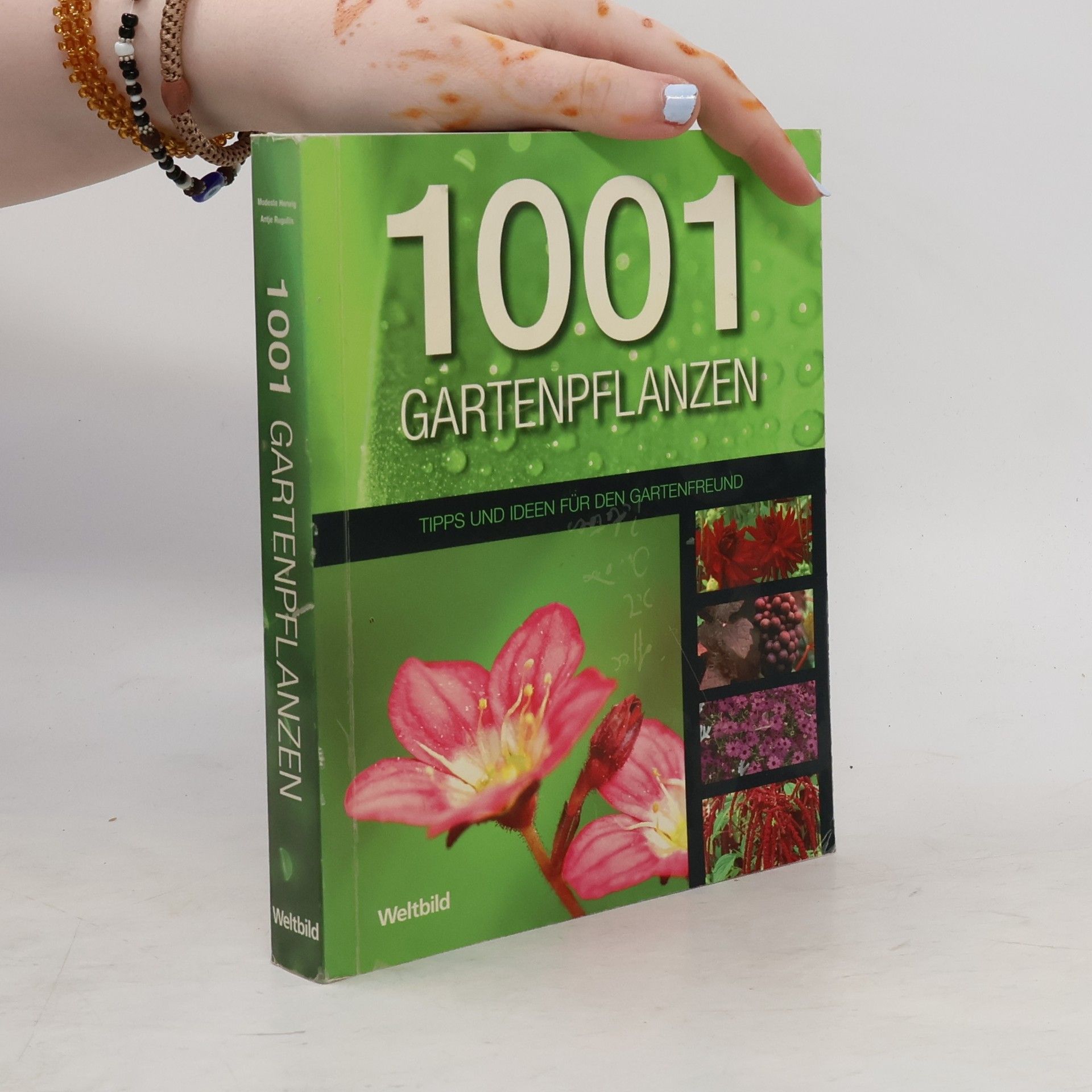 Collectif d'auteurs 1001 Gartenpflanzen
