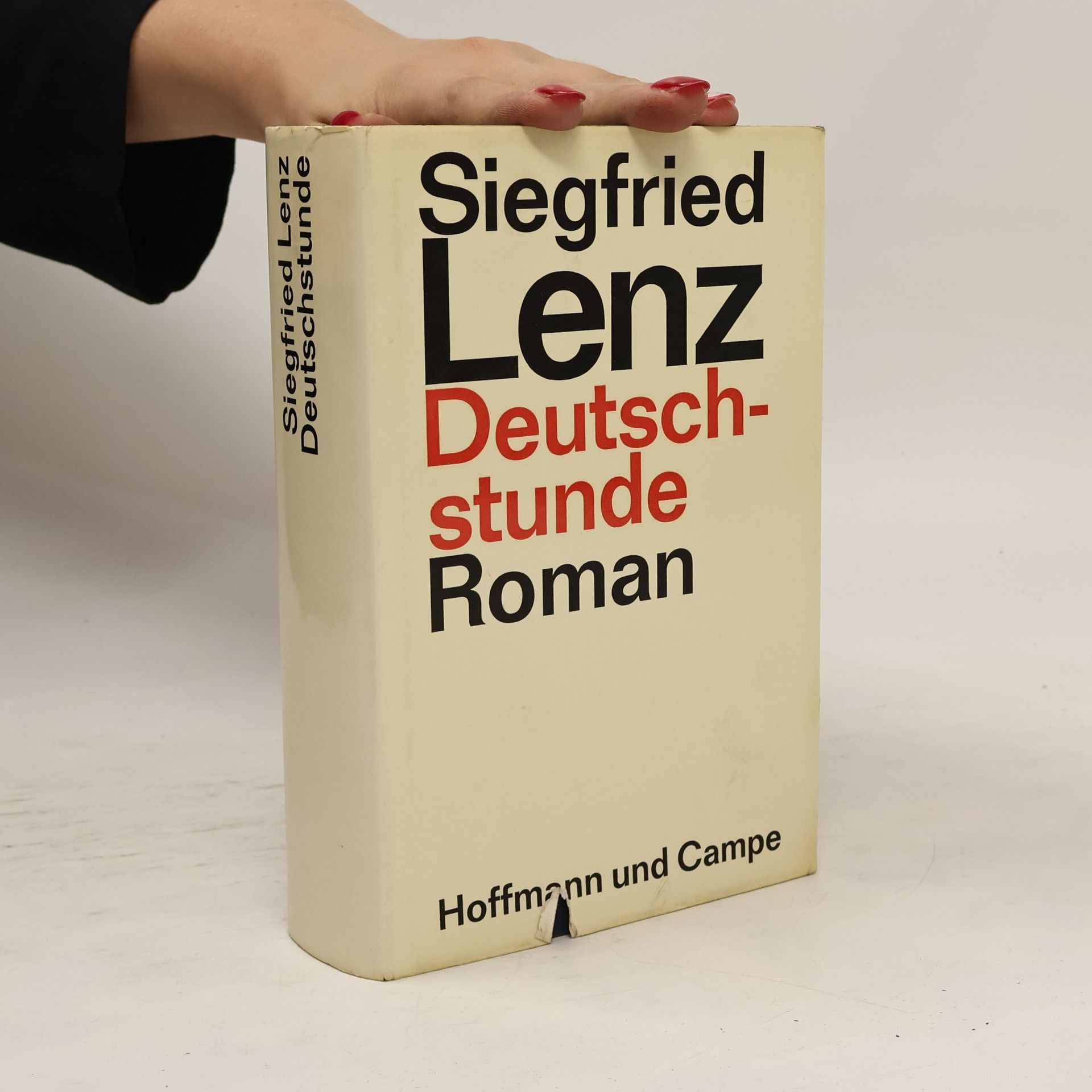 Siegfried Lenz Deutschstunde Roman