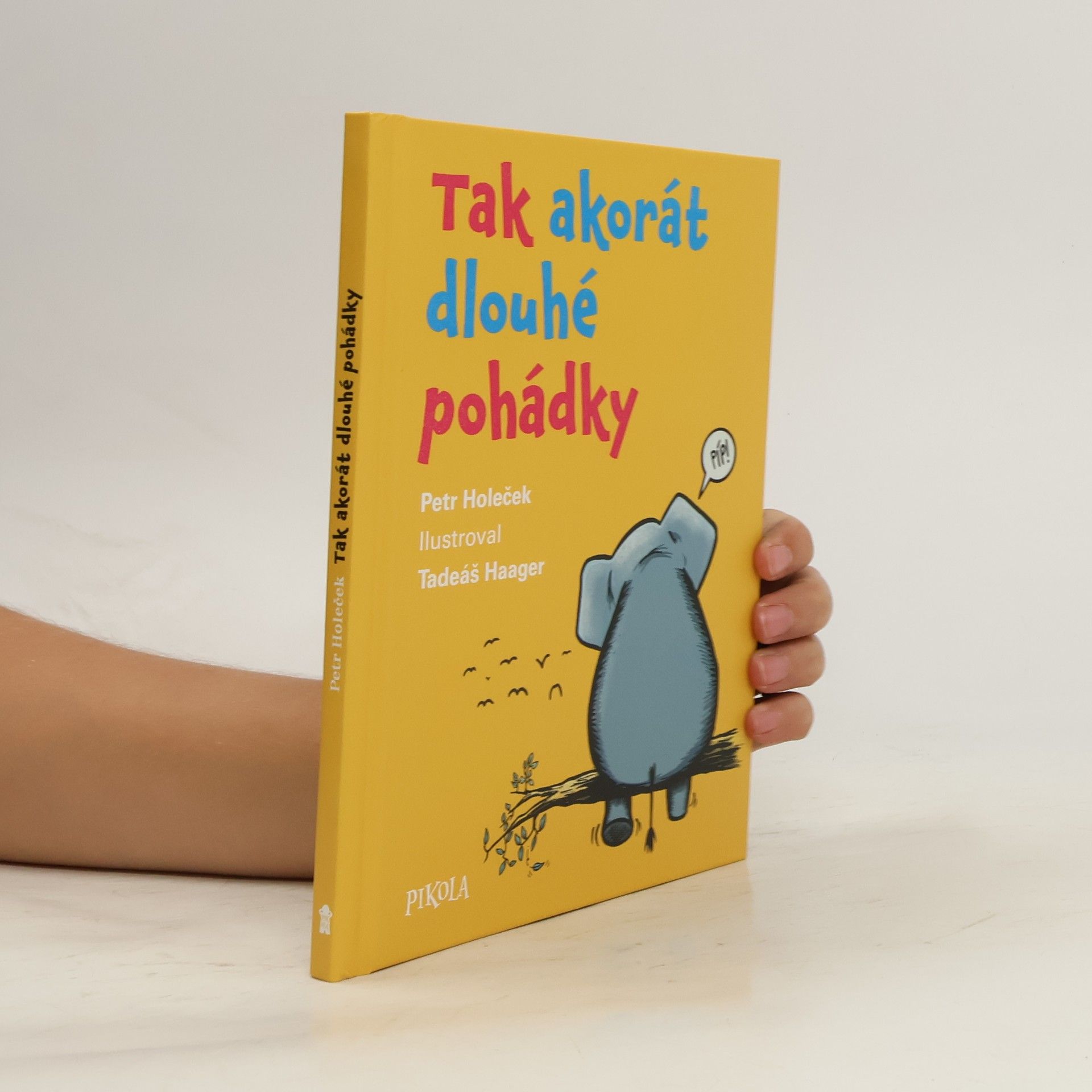 Petr Holeček Tak akorát dlouhé pohádky