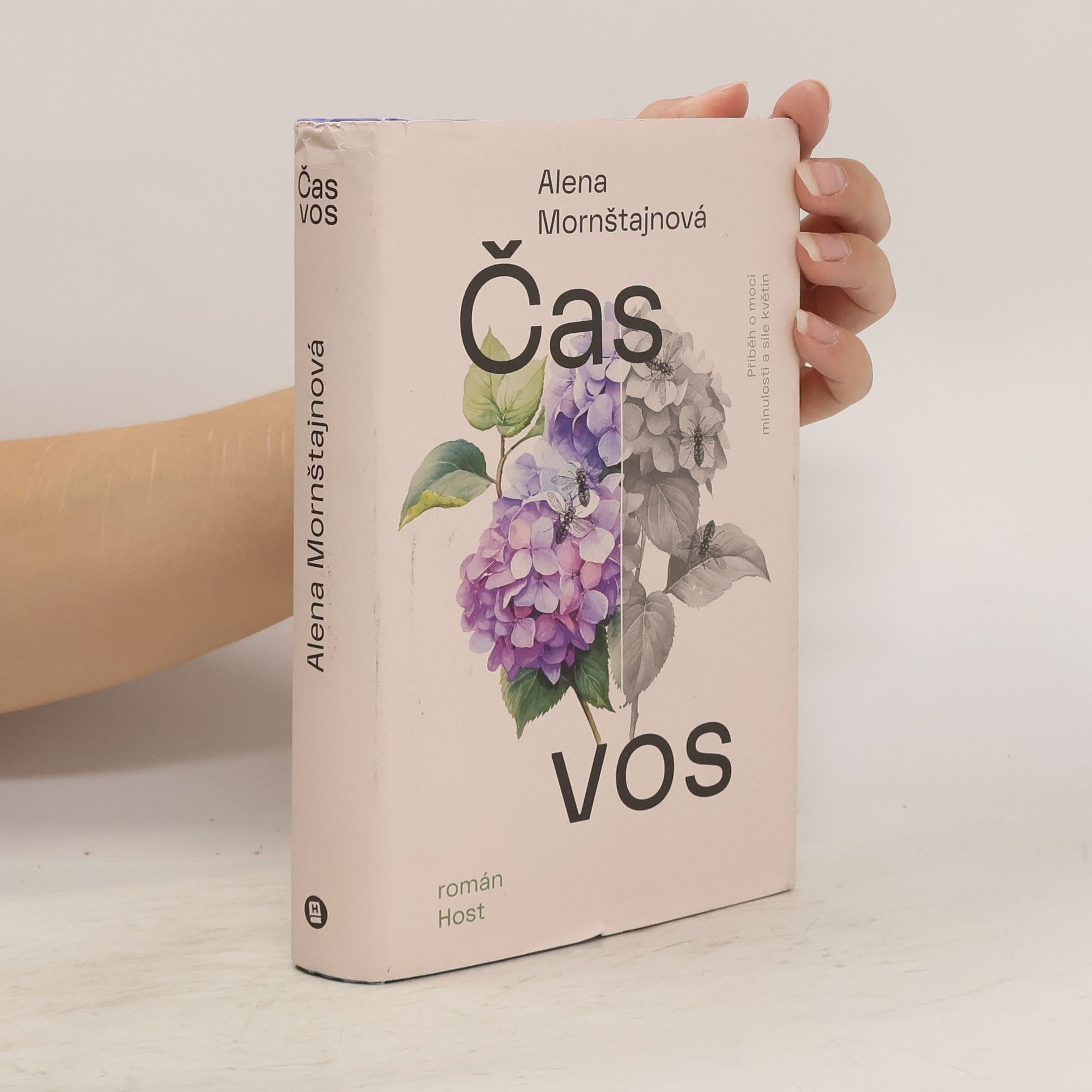 Alena Mornštajnová Čas vos