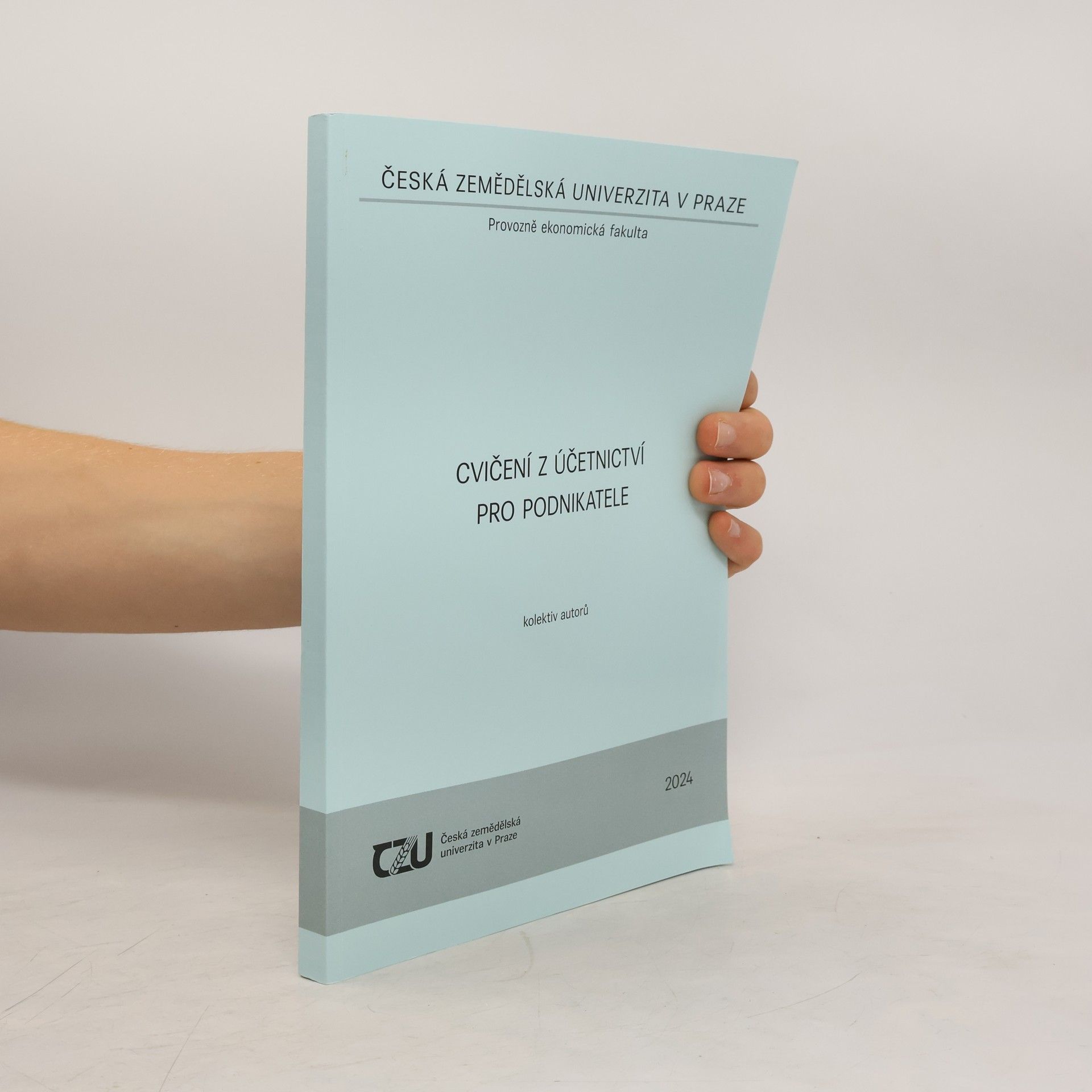 Kolektiv autorů Cvičení účetnictví pro podnikatele