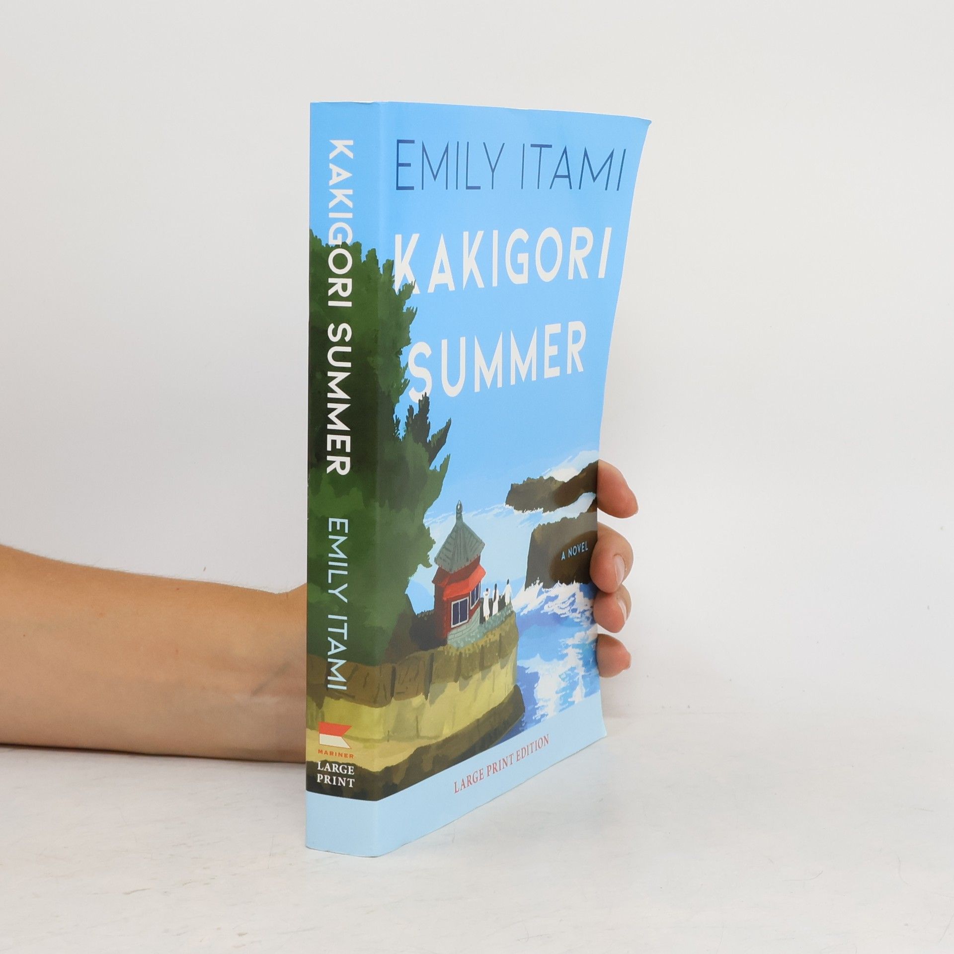 Emily Itami Kakigori Summer