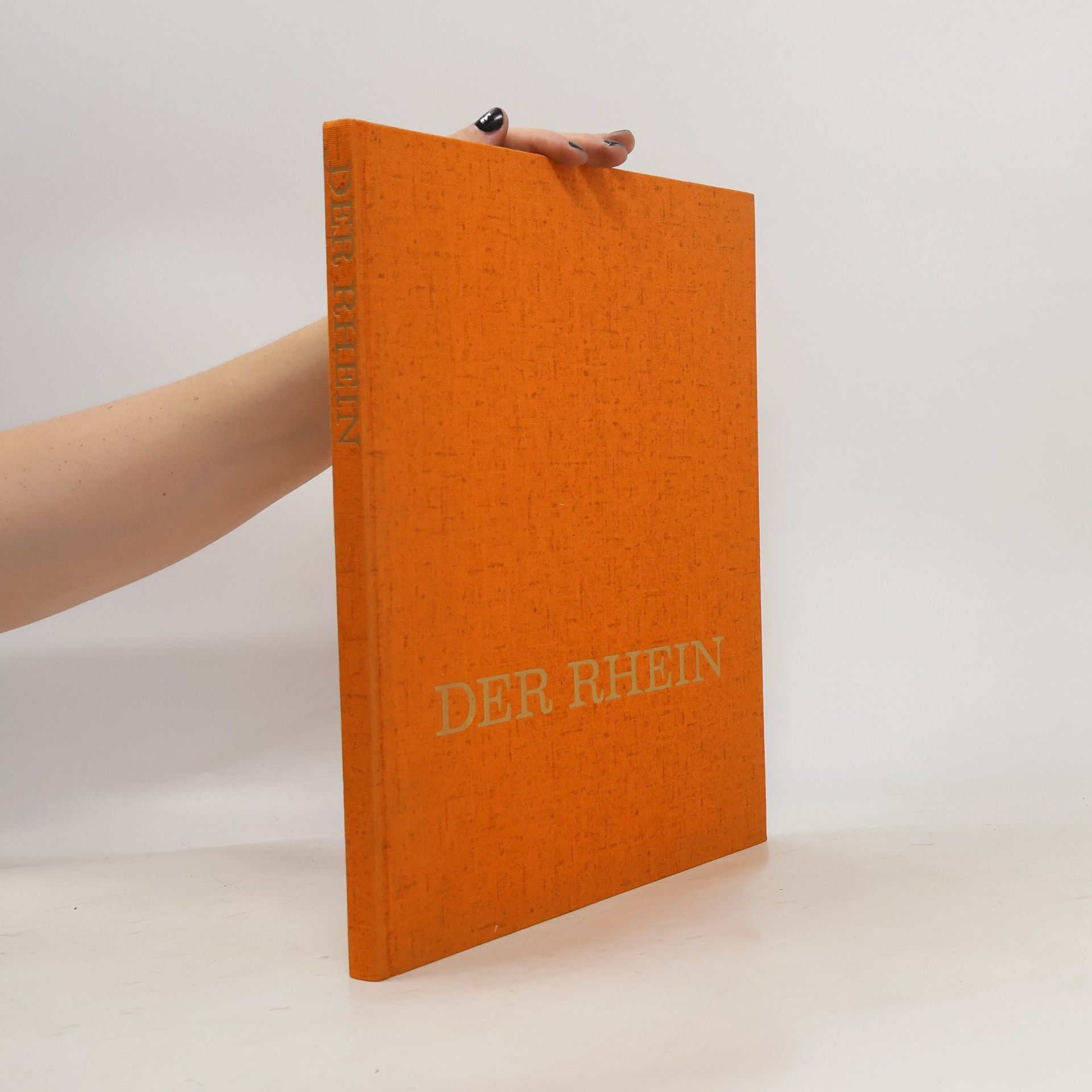 Collectif d'auteurs Der Rhein