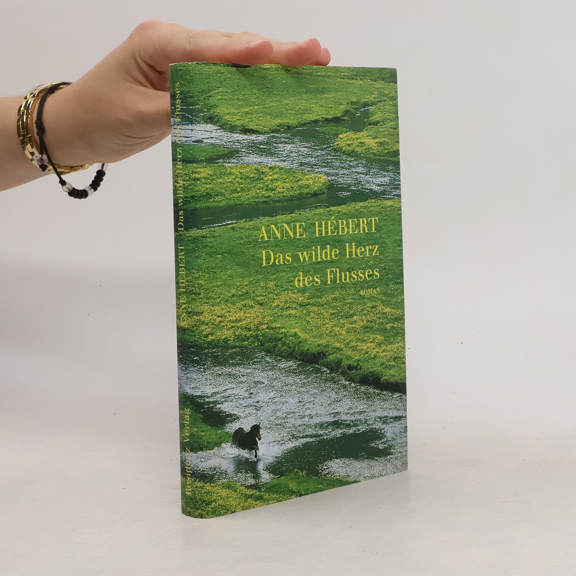 Anne He bert Das wilde Herz des Flusses