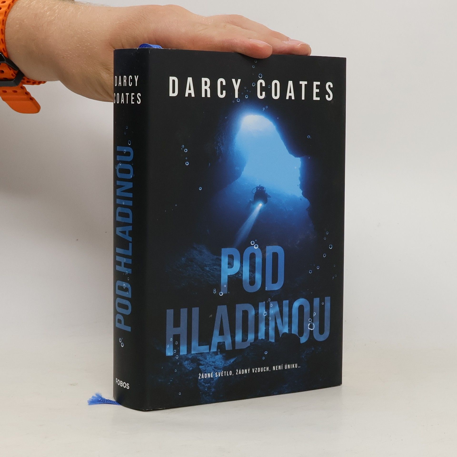 Darcy Coates Pod hladinou