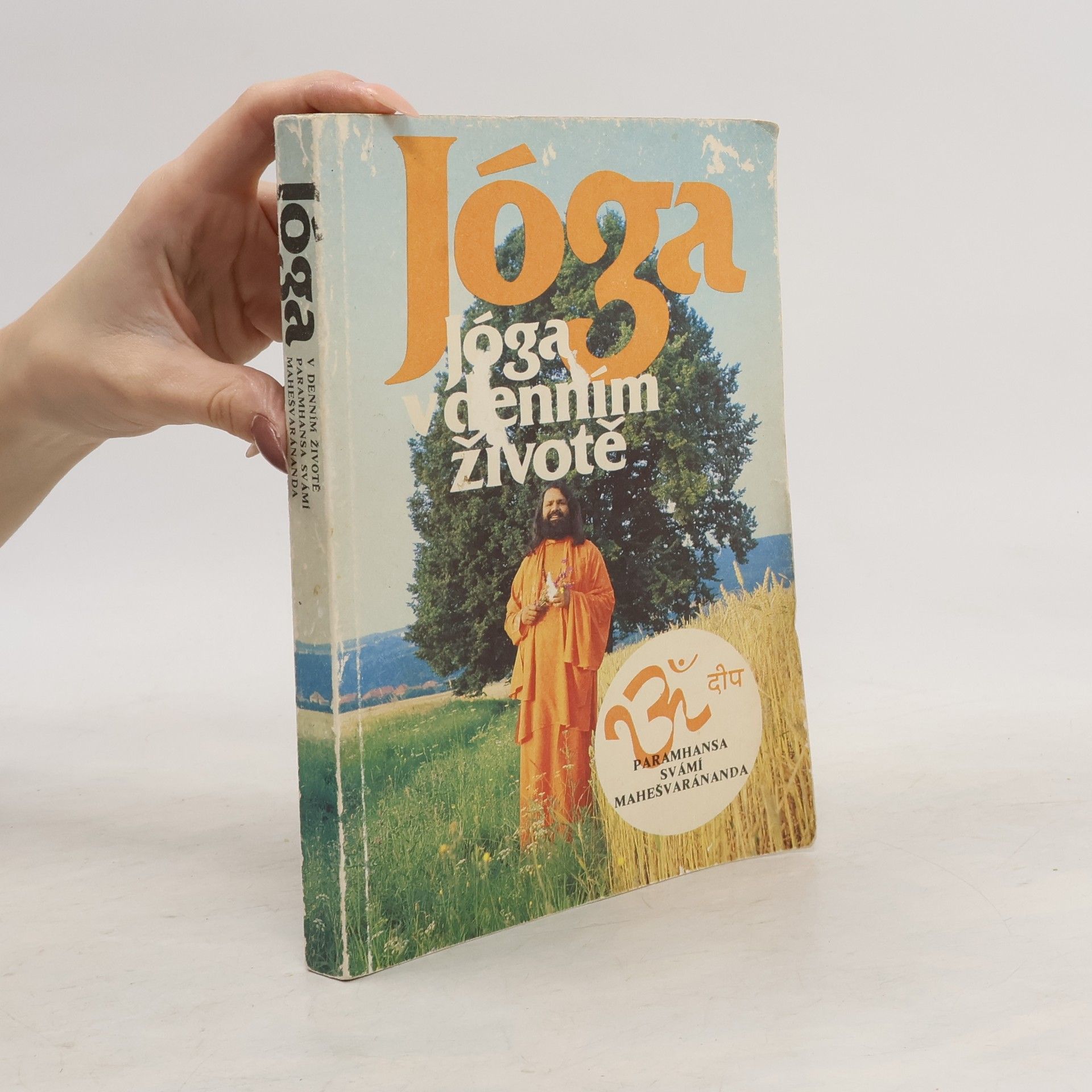 Paramhans Swami Maheshwarananda Jóga v denním životě