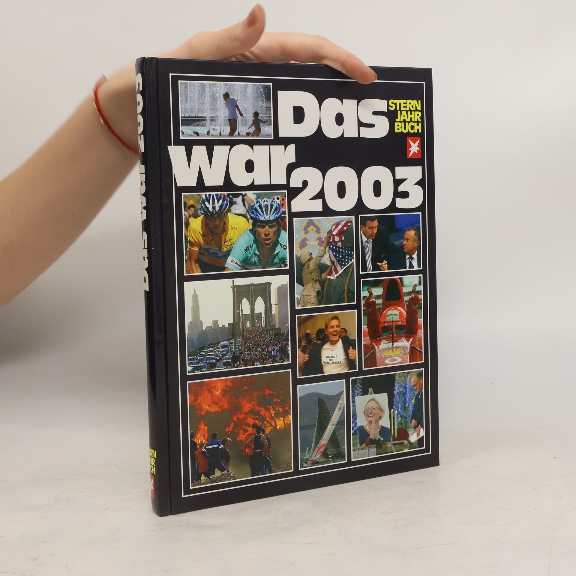 Kolektív autorov Das war 2003