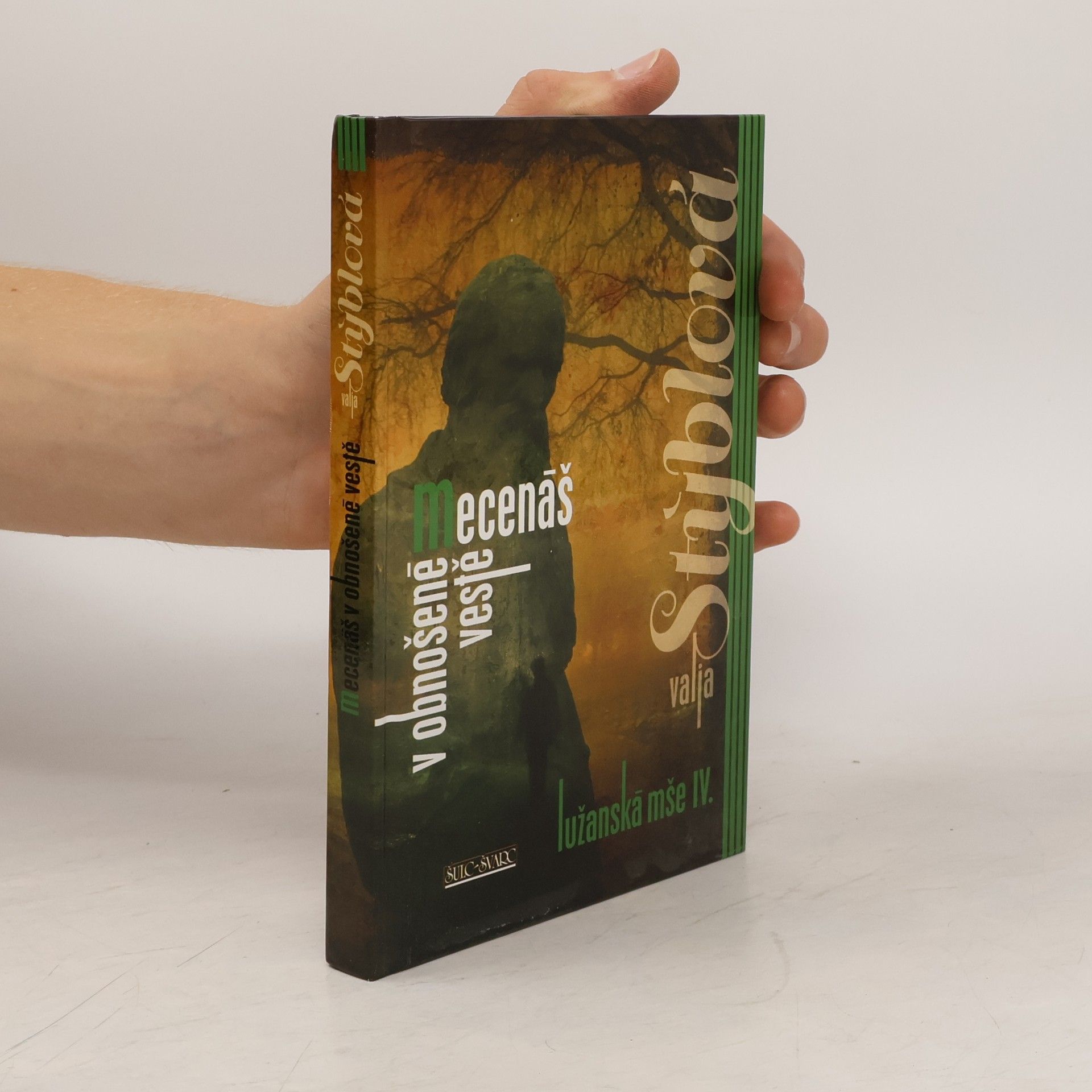 Mecenáš v obnošené vestě