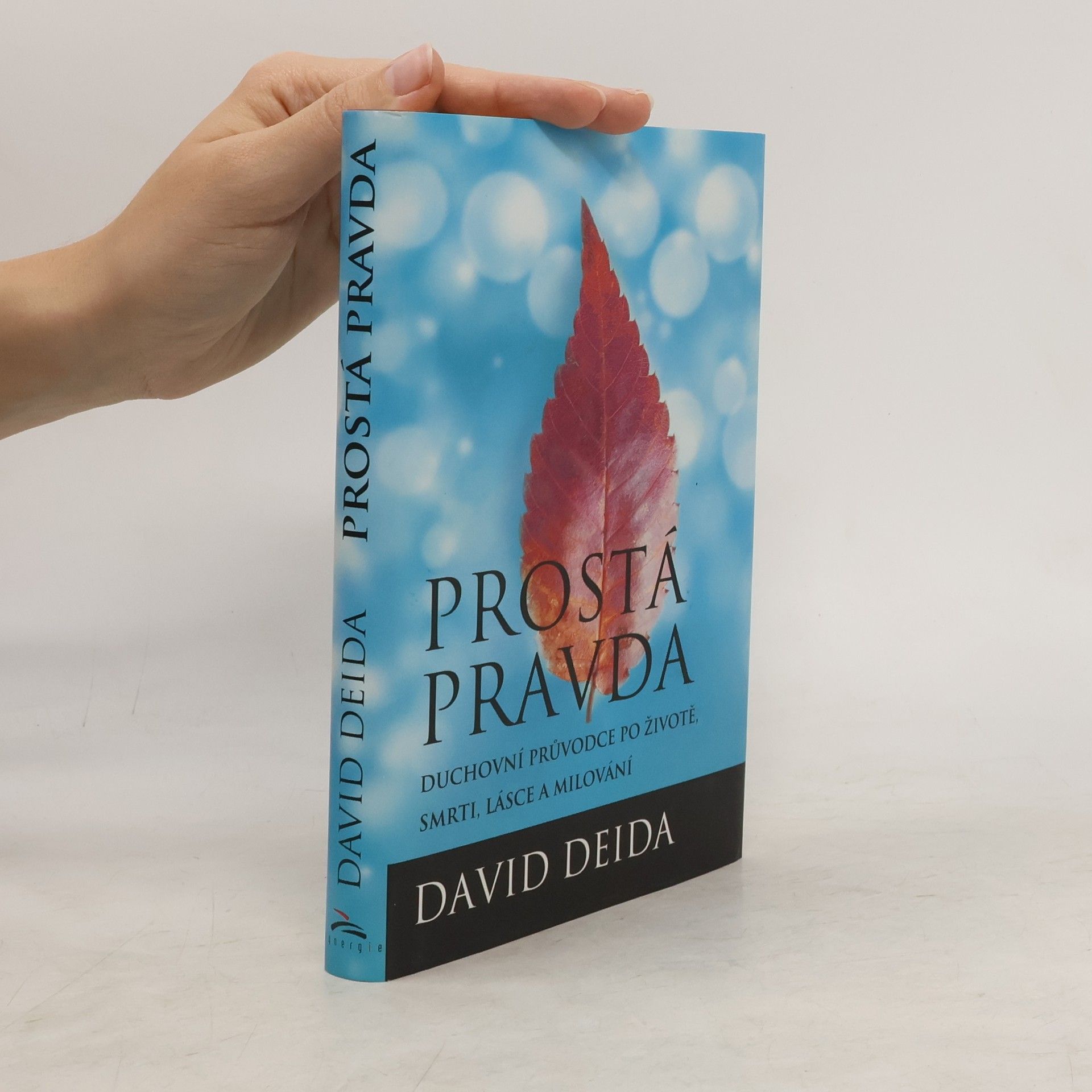 David Deida Prostá pravda