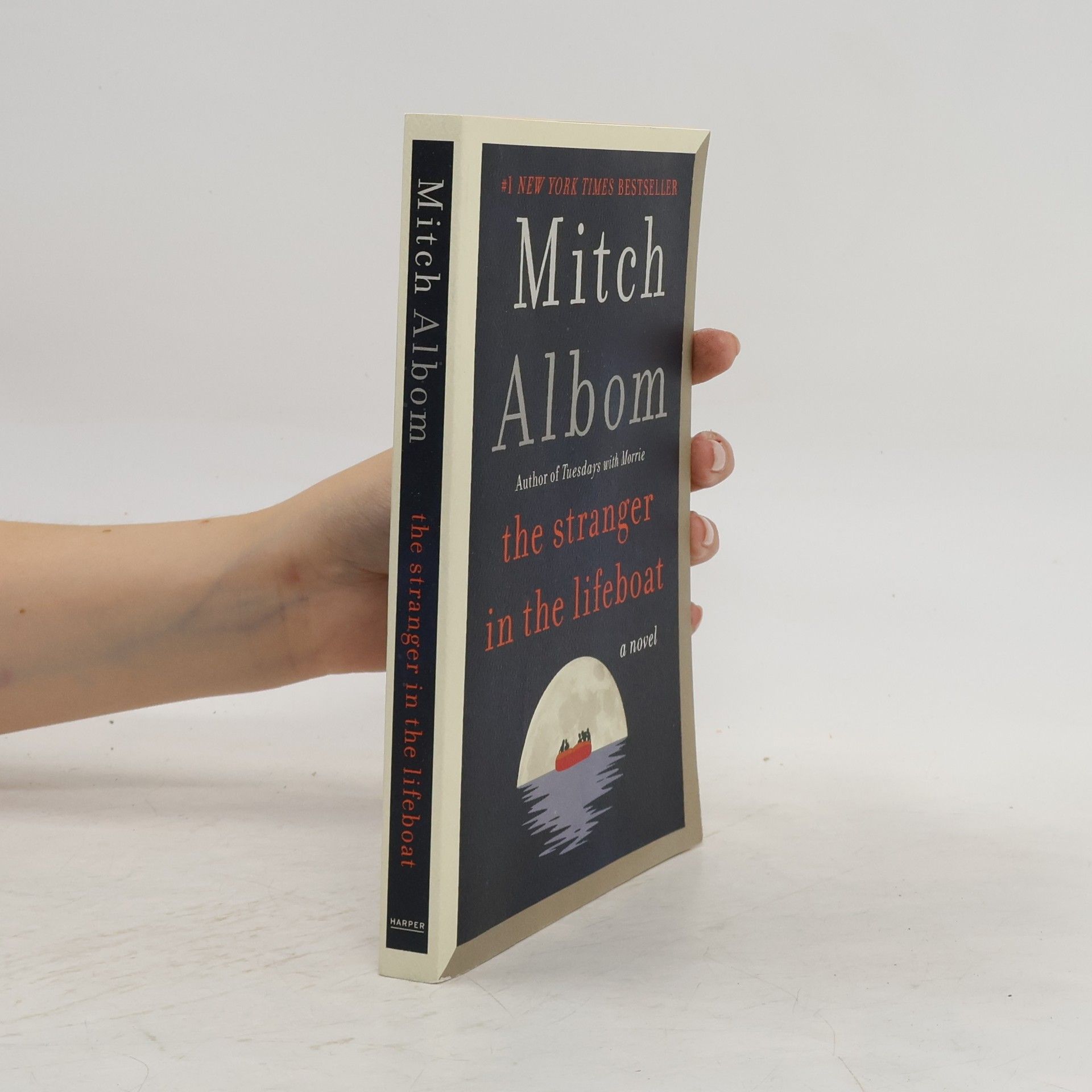 Mitch Albom The Stranger in the Lifeboat