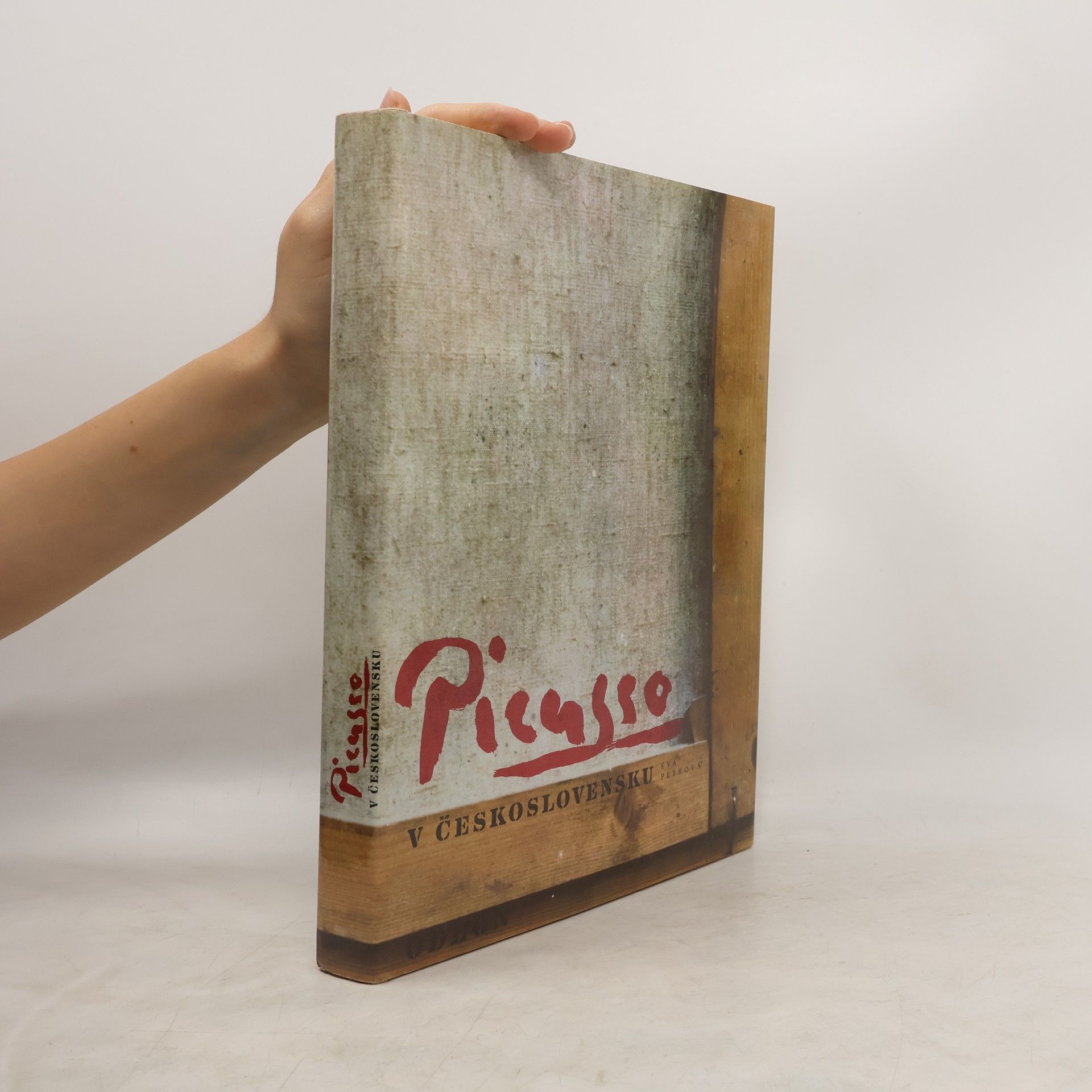 Eva Petrová Picasso v Československu