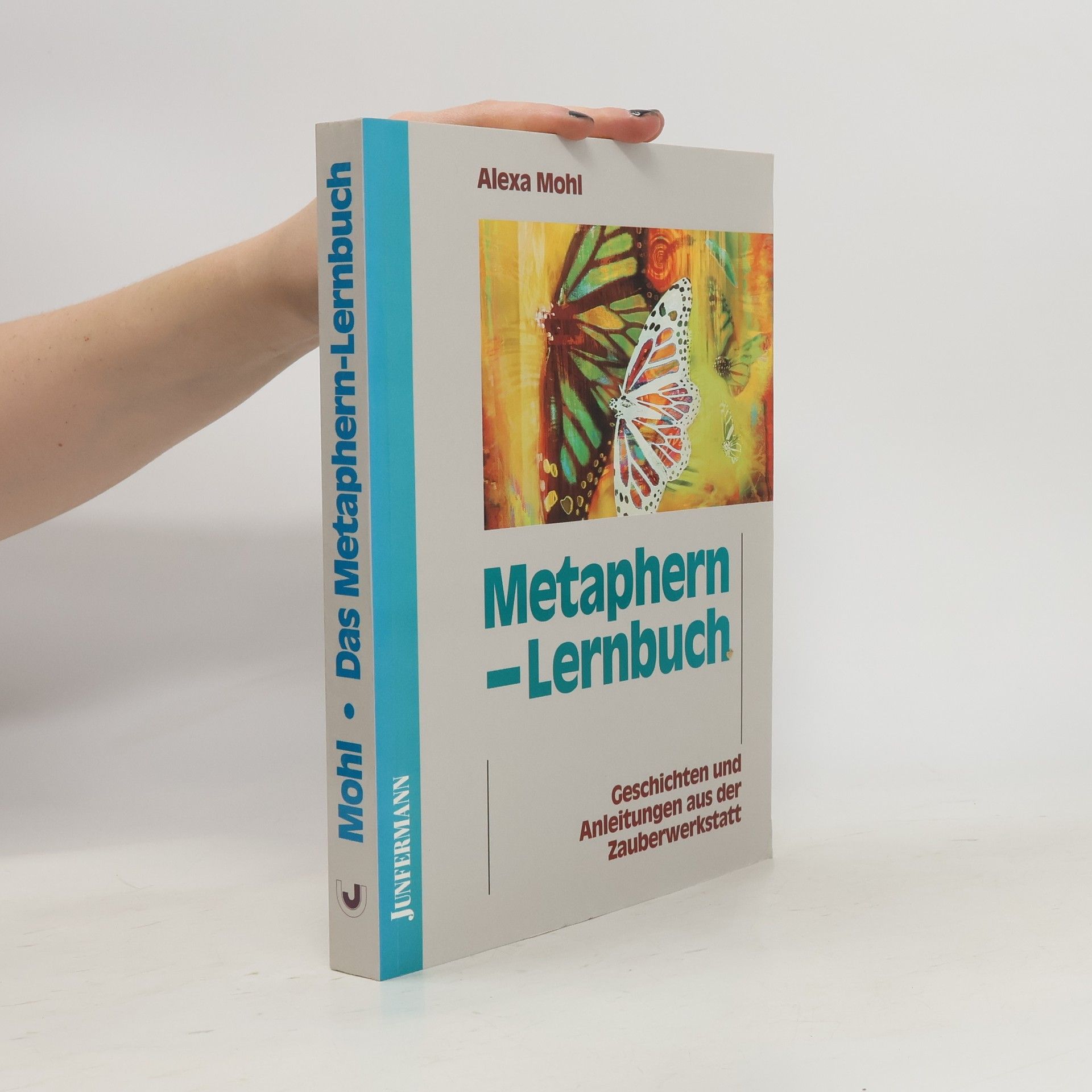 Alexa Mohl Das Metaphern-Lernbuch