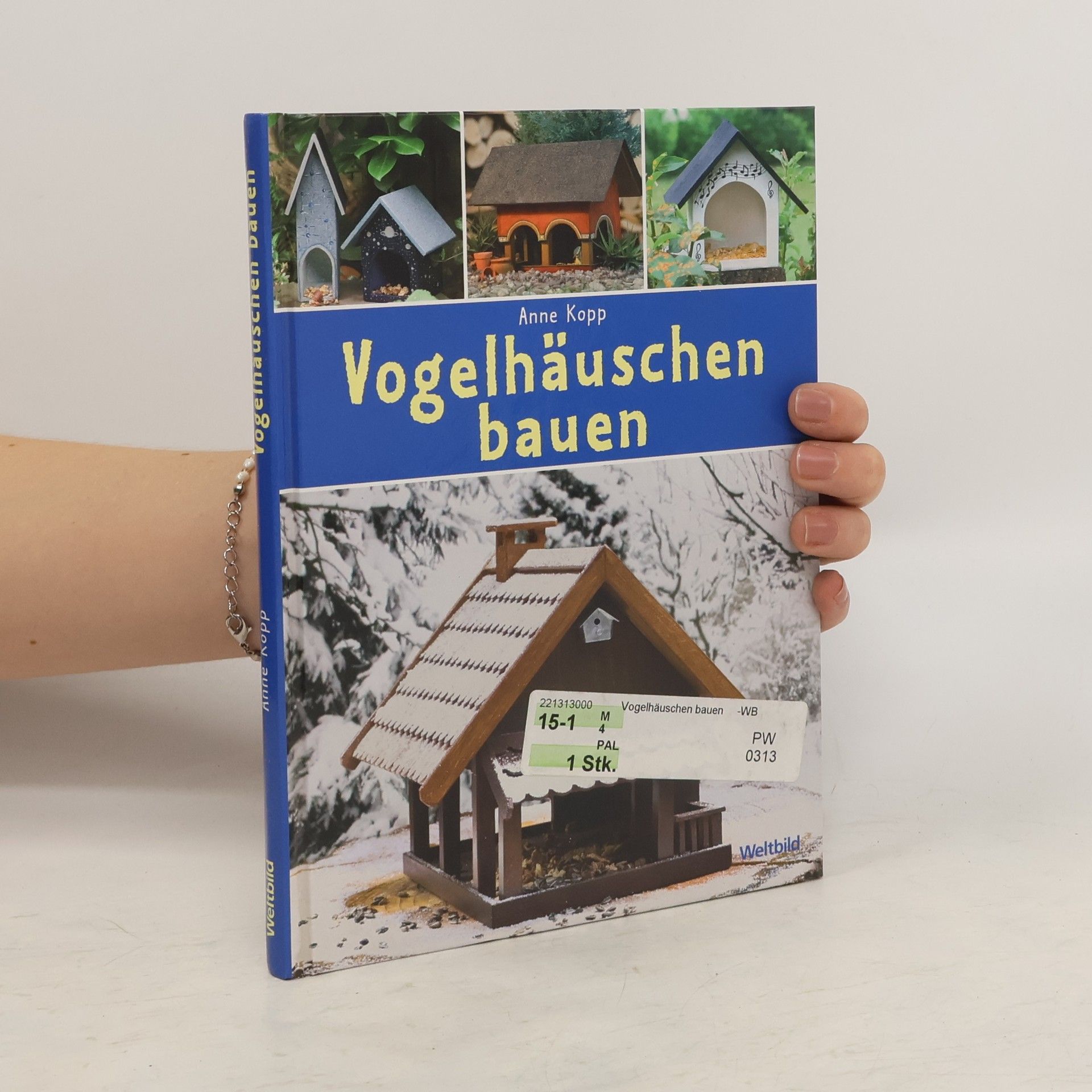 Anne Kopp Vogelhäuschen bauen