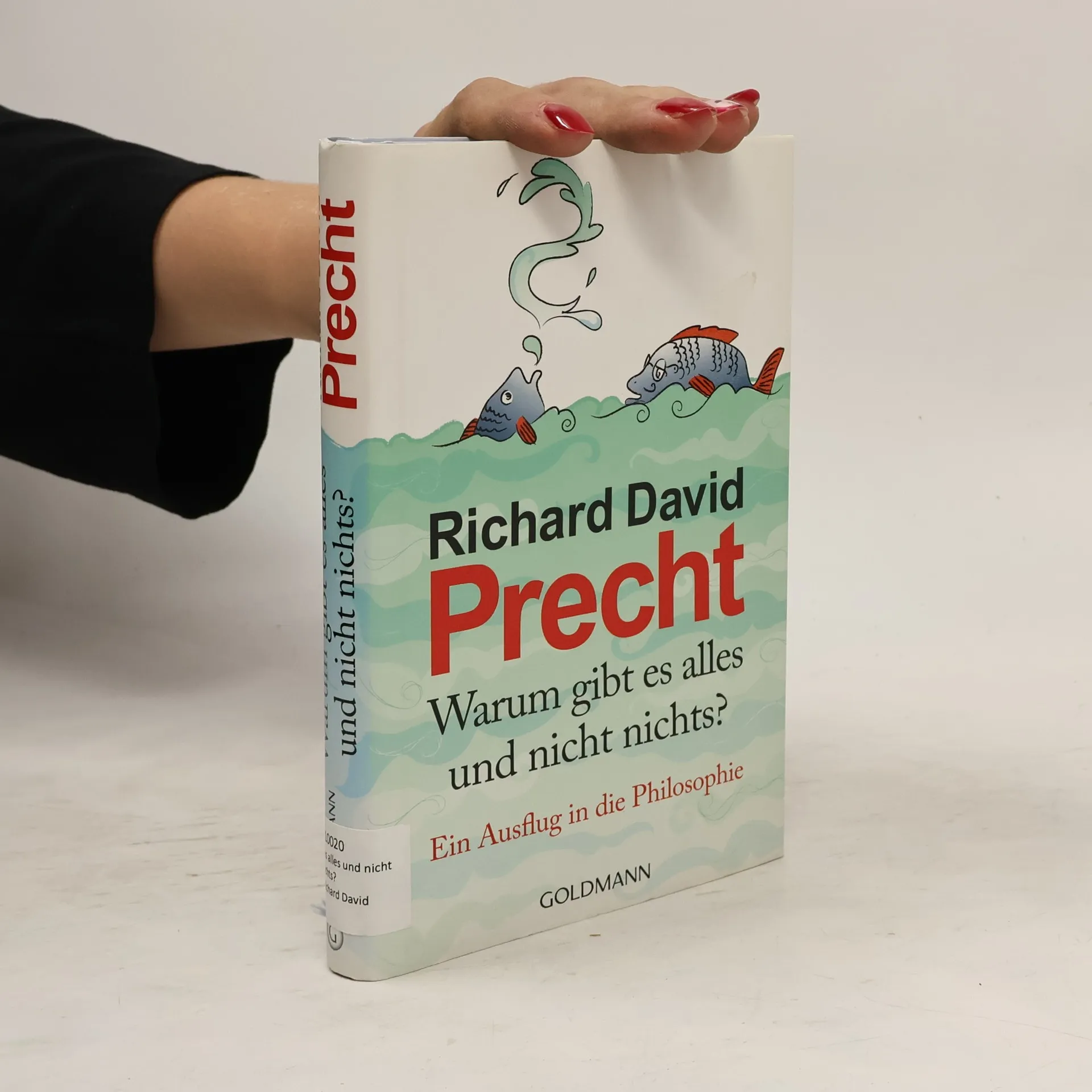 Warum gibt es alles und nicht nichts? | Richard David Precht | German | Book