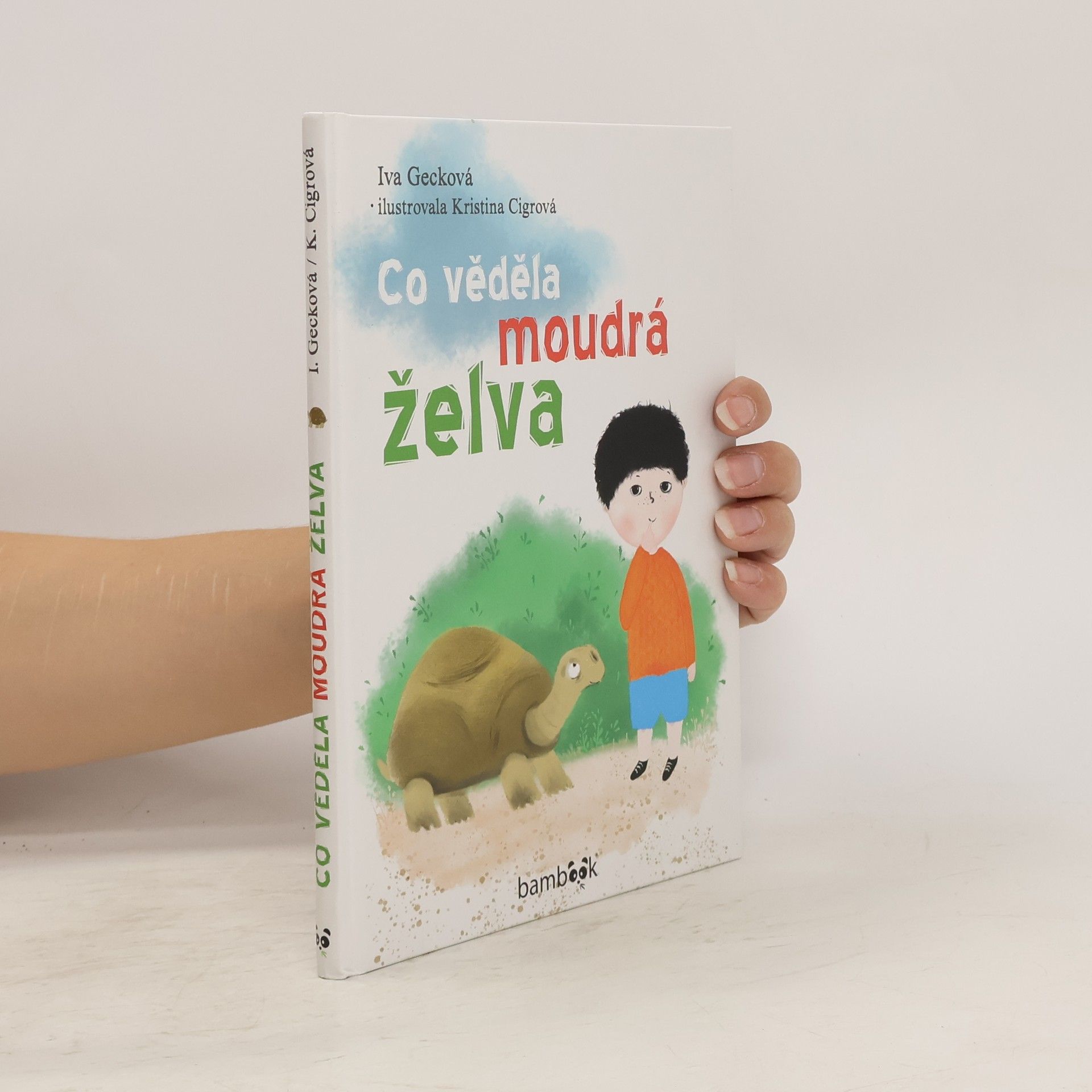 Gecková Iva Co věděla moudrá želva