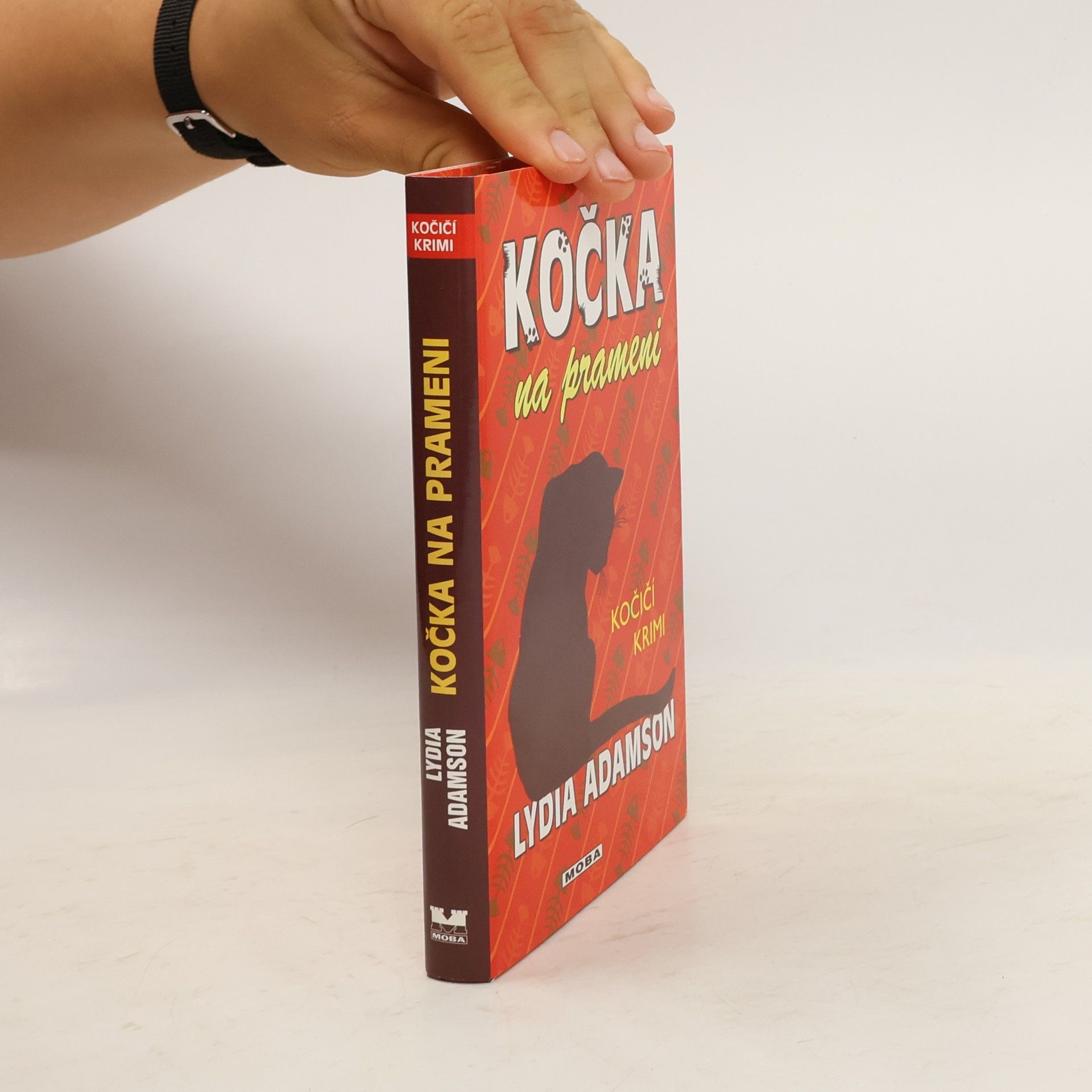 Lydia Adamson Kočka na prameni