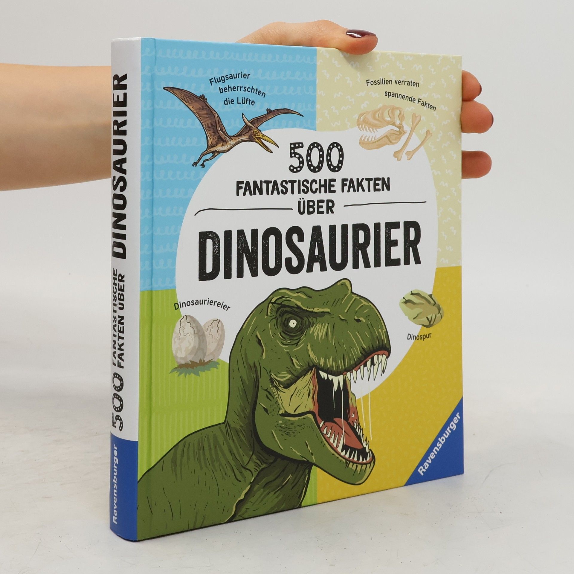 Anne Rooney 500 fantastische Fakten über Dinosaurier