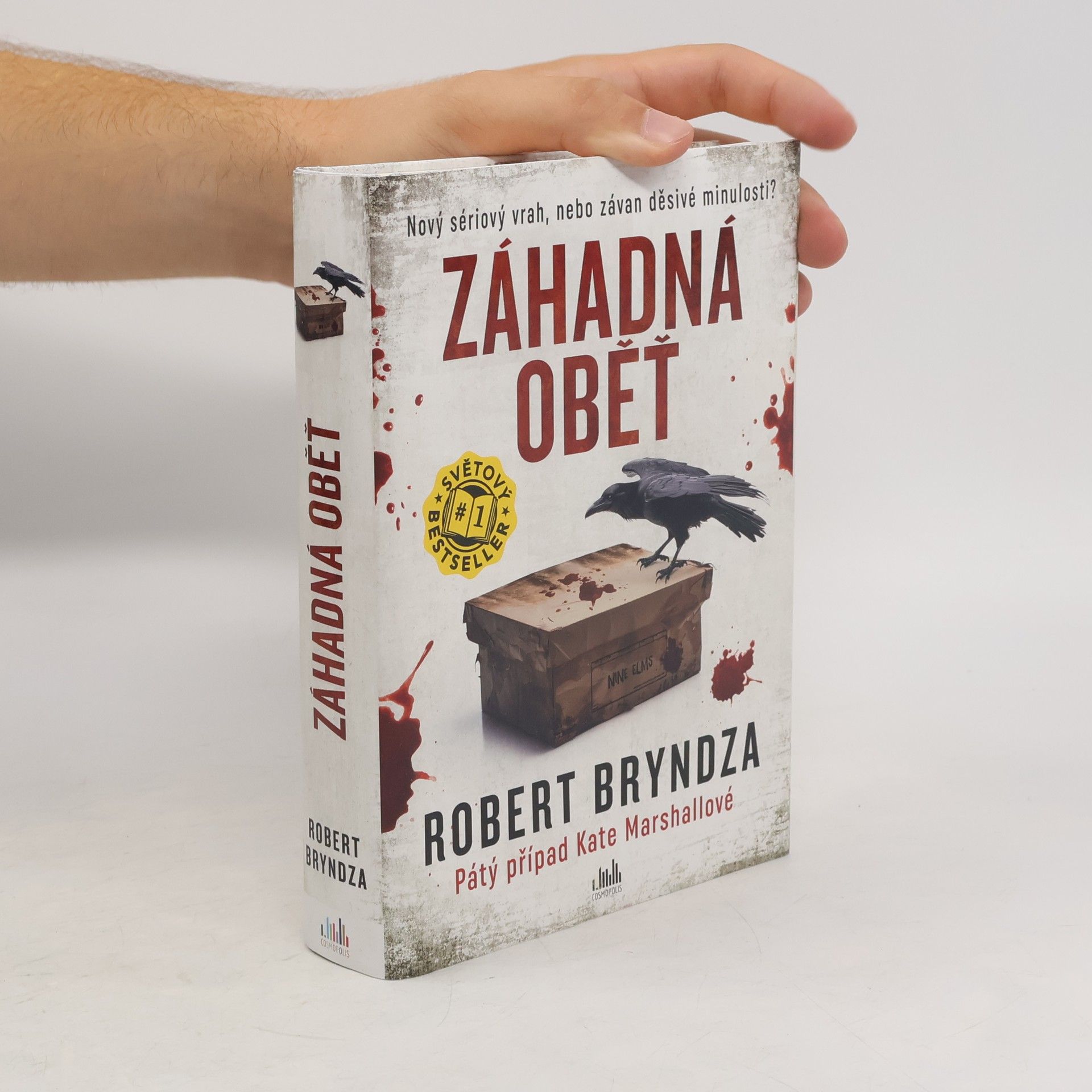 Robert Bryndza Záhadná oběť