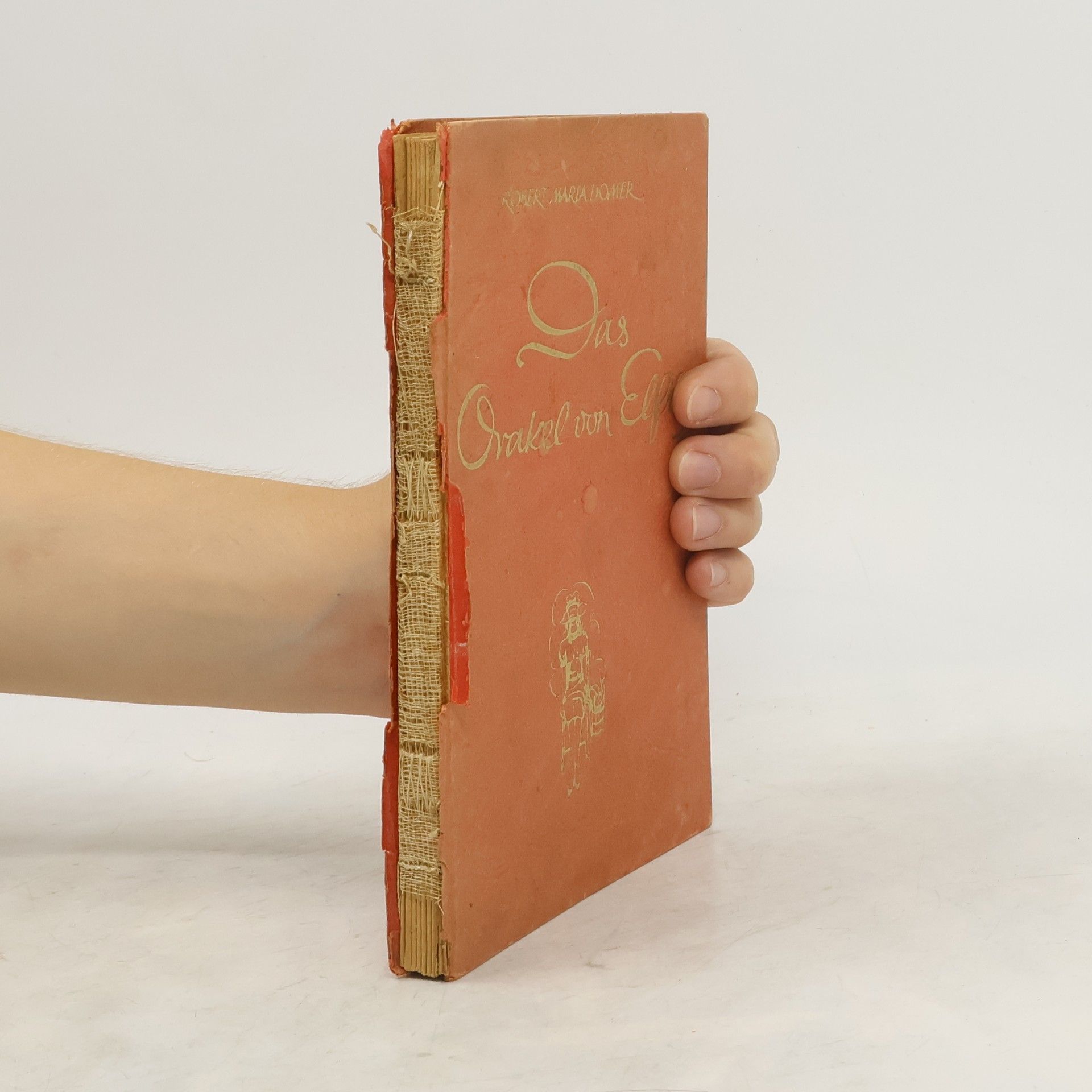 Robert Maria Domer Das orakel von Elfi