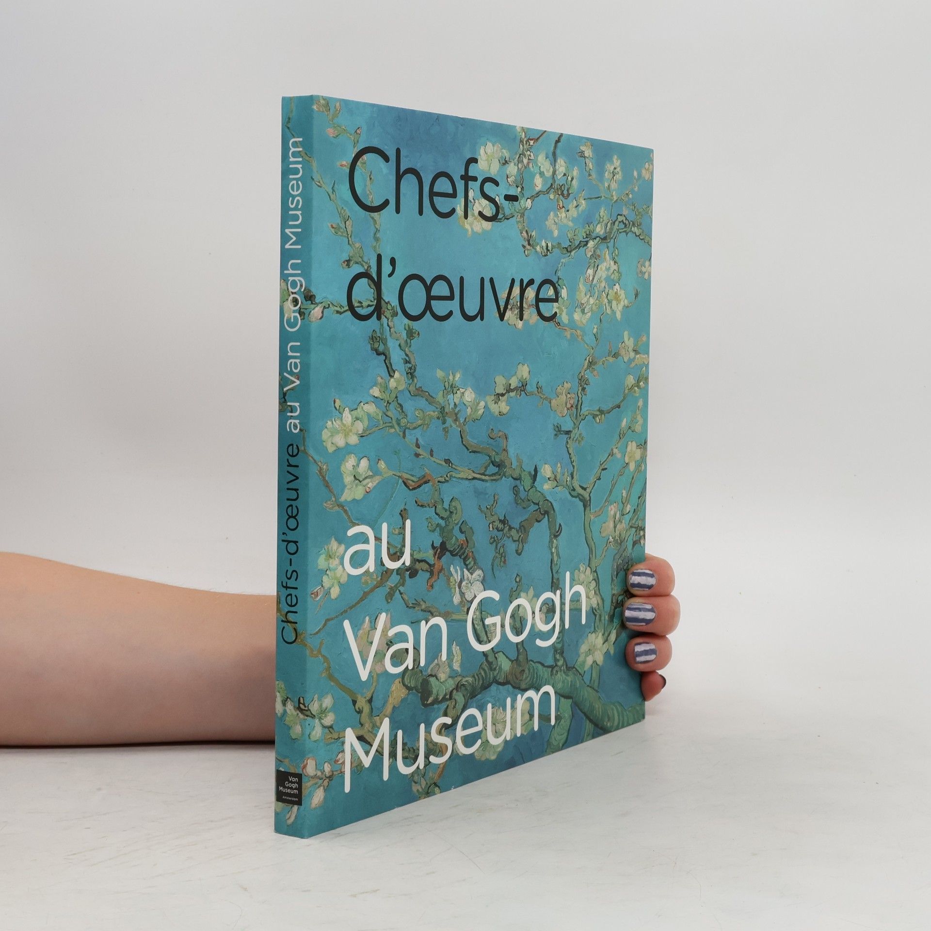 Chefs-d'oeuvre au Van Gogh Museum