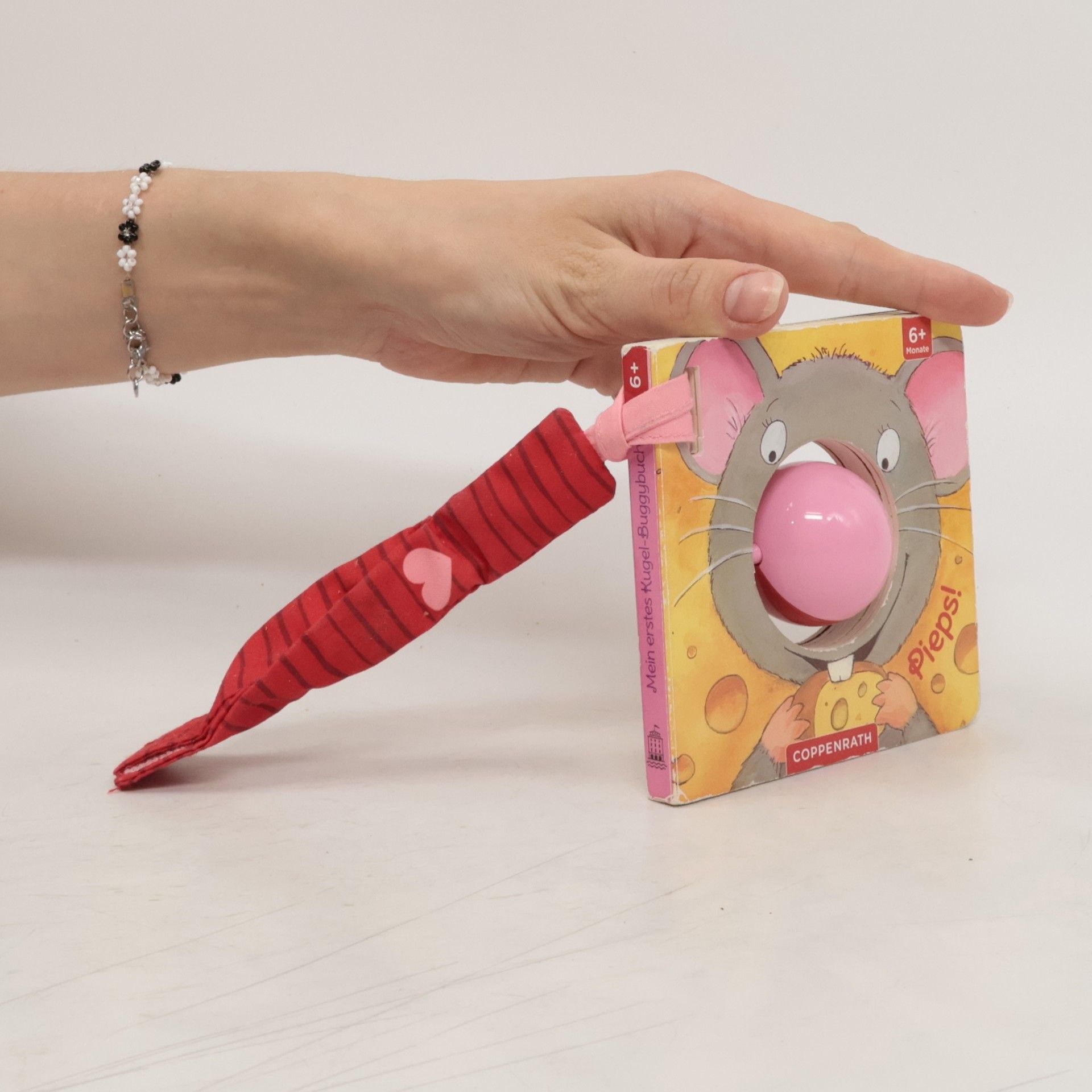 Christine Kugler Mein erstes Kuller-Buggybuch - pieps!