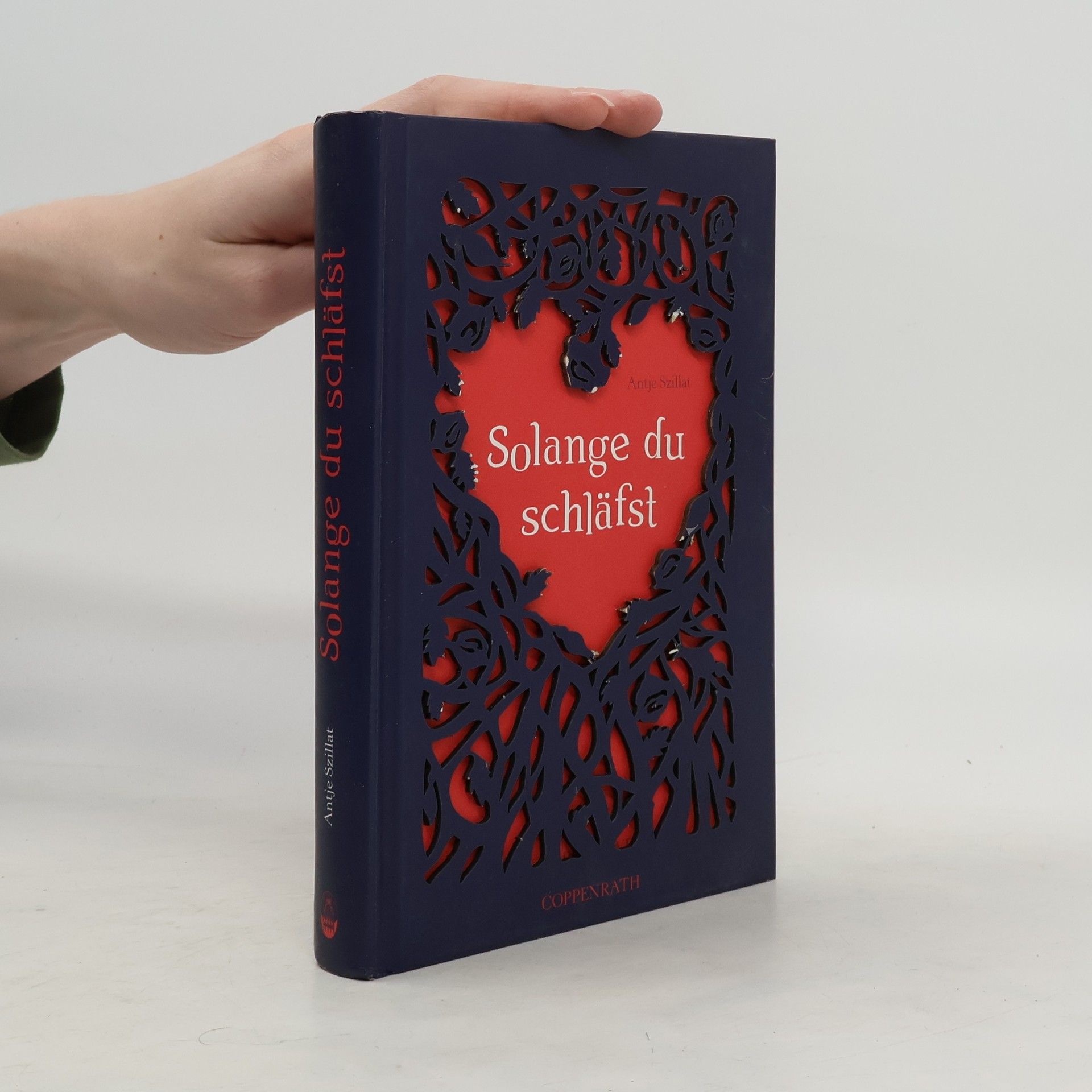 Antje Szillat Solange du schläfst