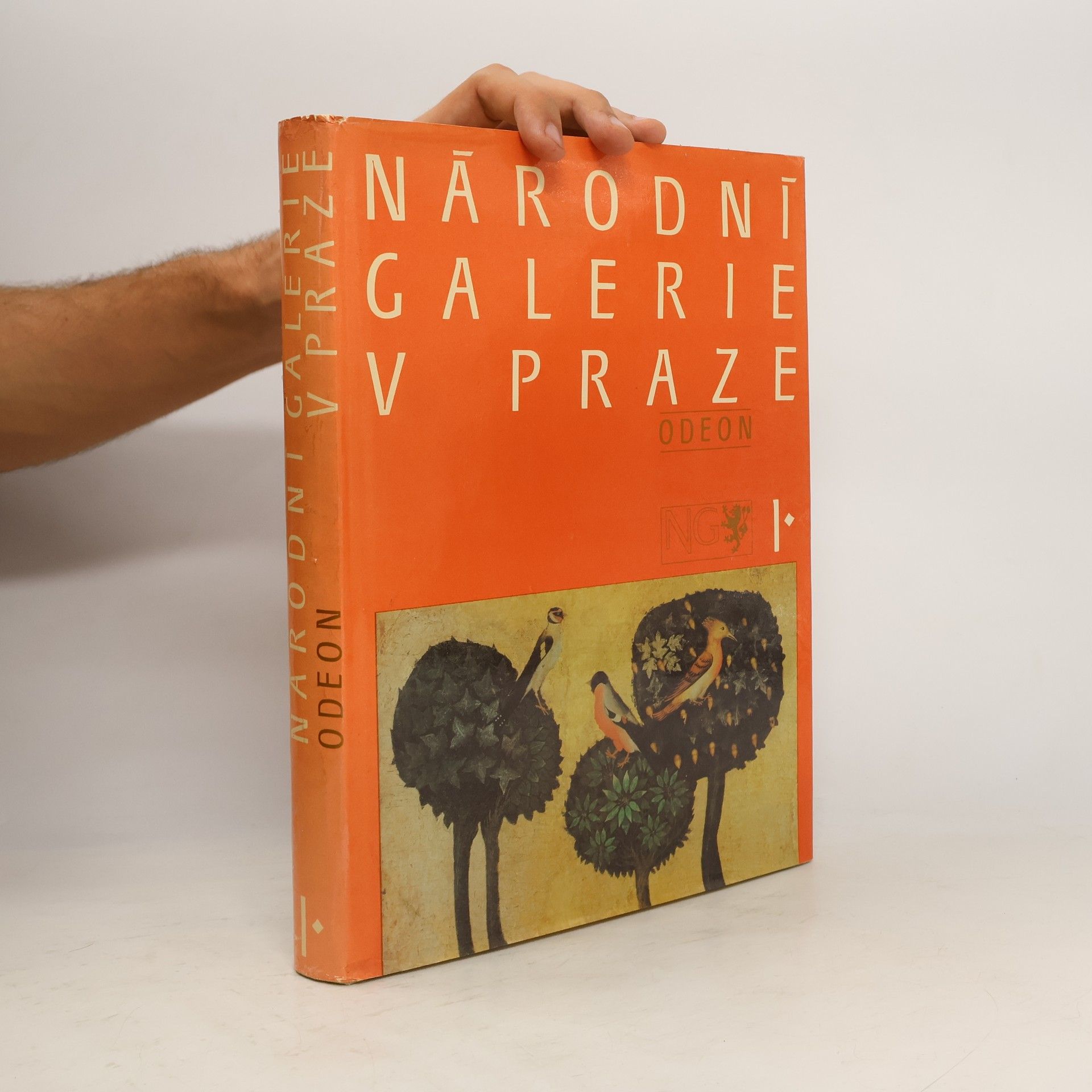 AA.VV. Národní galerie v Praze