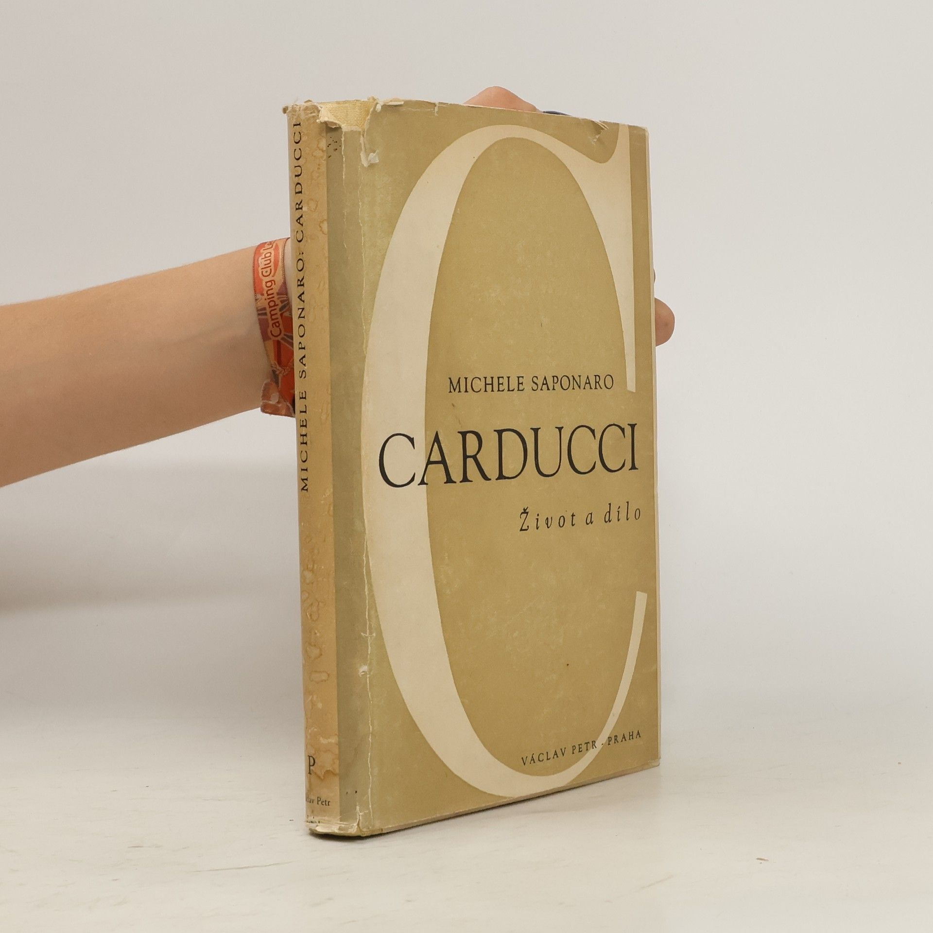 Michele Saponaro Carducci. Život a dílo