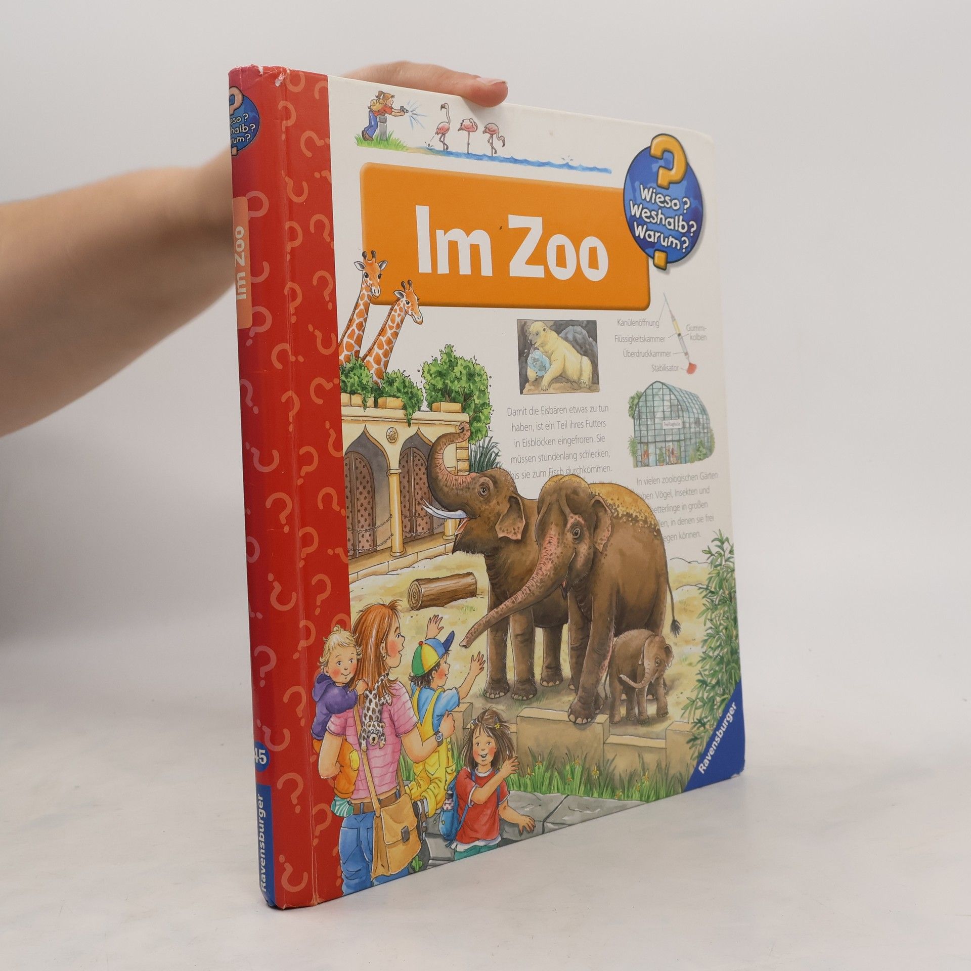 Marion Kreimeyer-Visse Im Zoo
