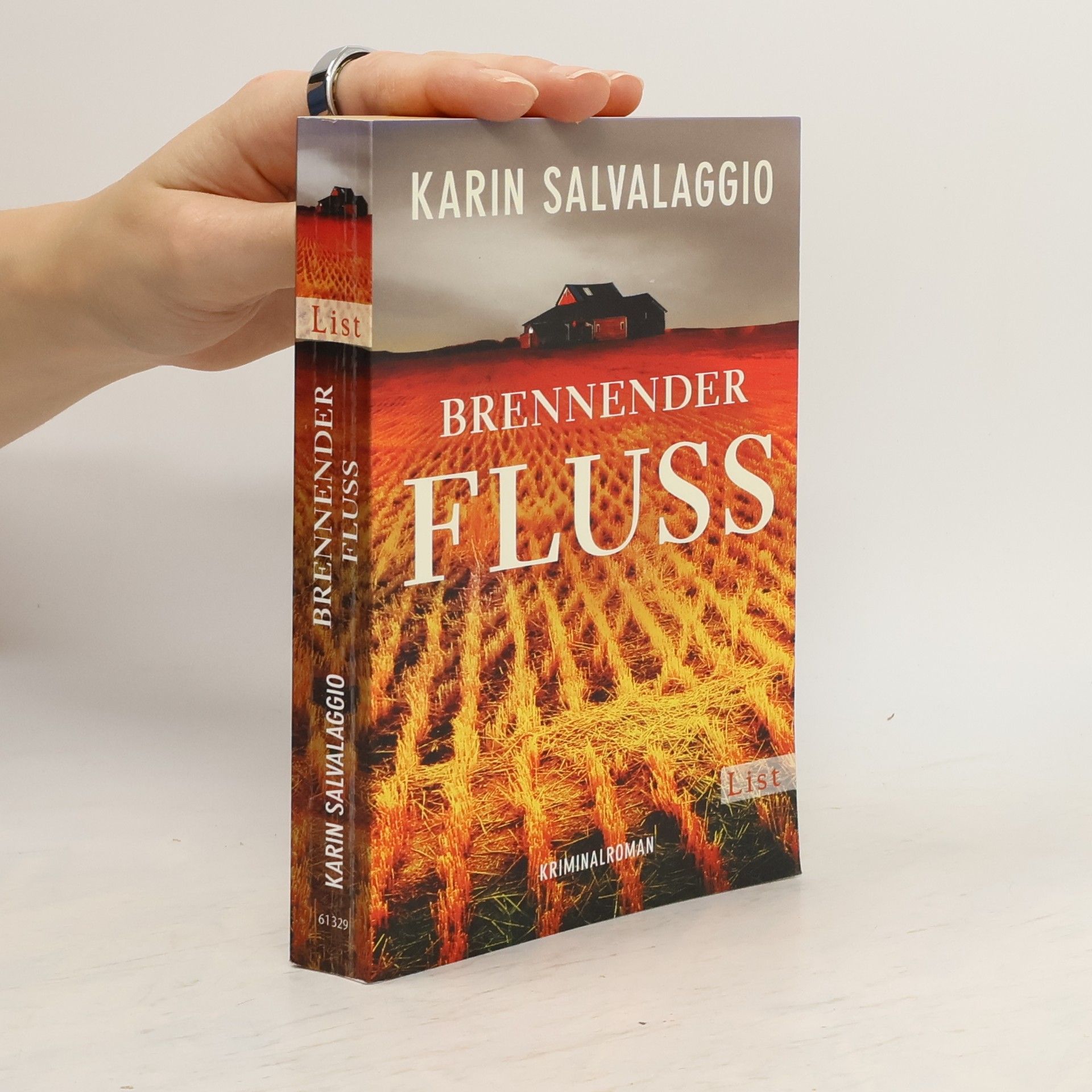 Karin Salvalaggio Brennender Fluss