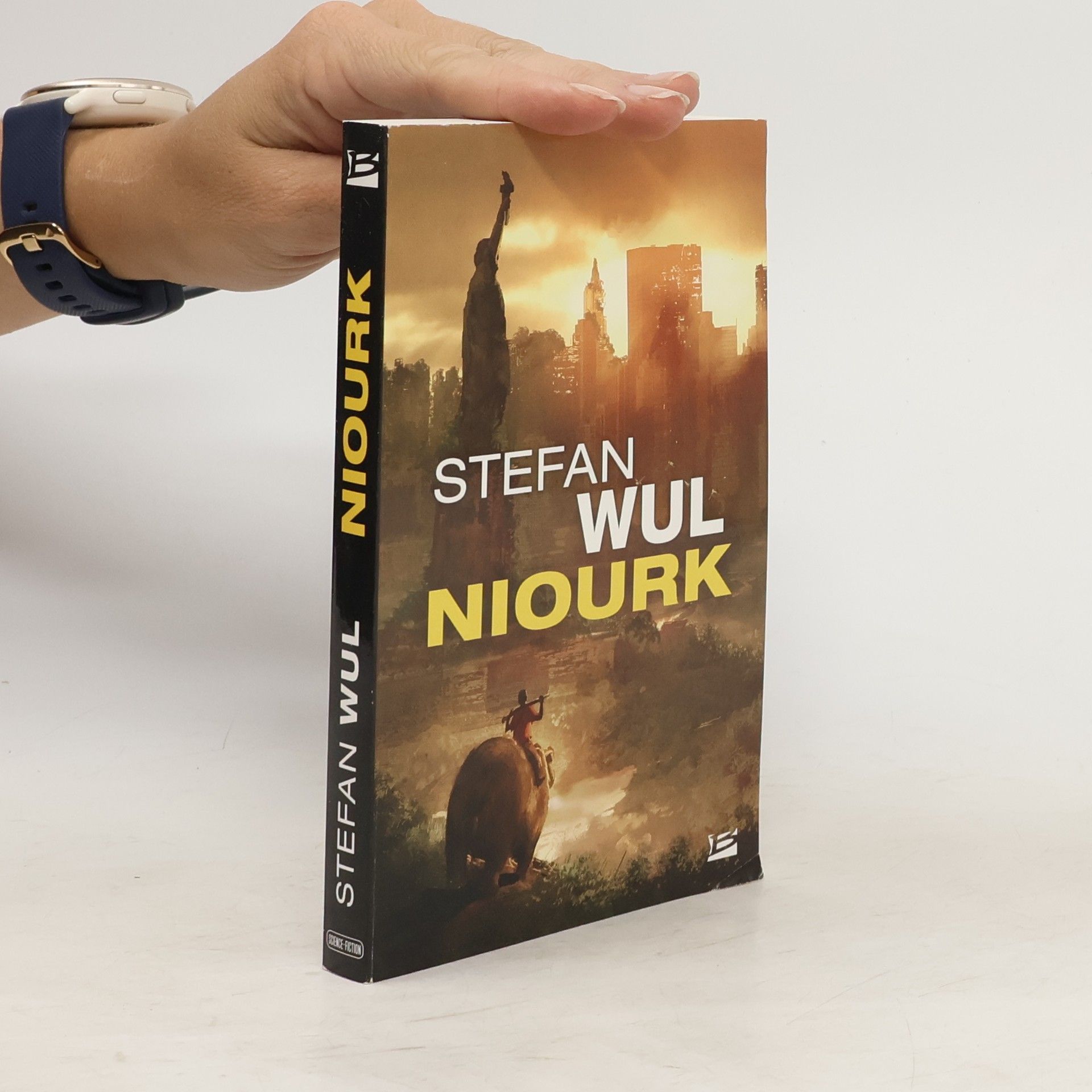 Stefan Wul Niourk