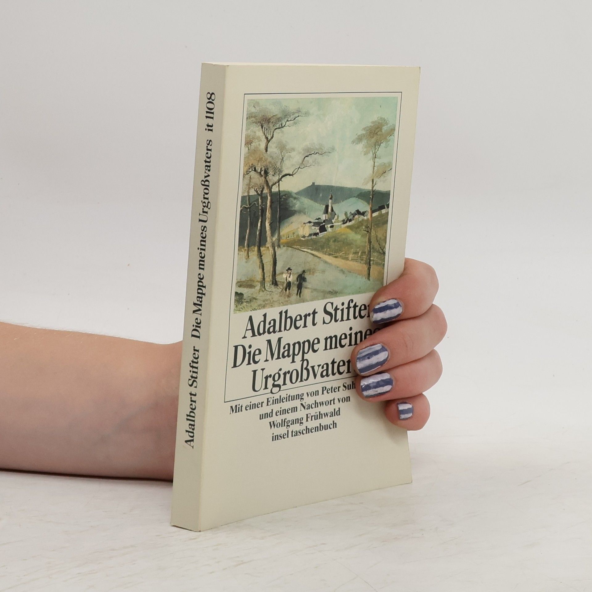 Adalbert Stifter Insel Taschenbuch - 1108: Die Mappe meines Urgrossvaters