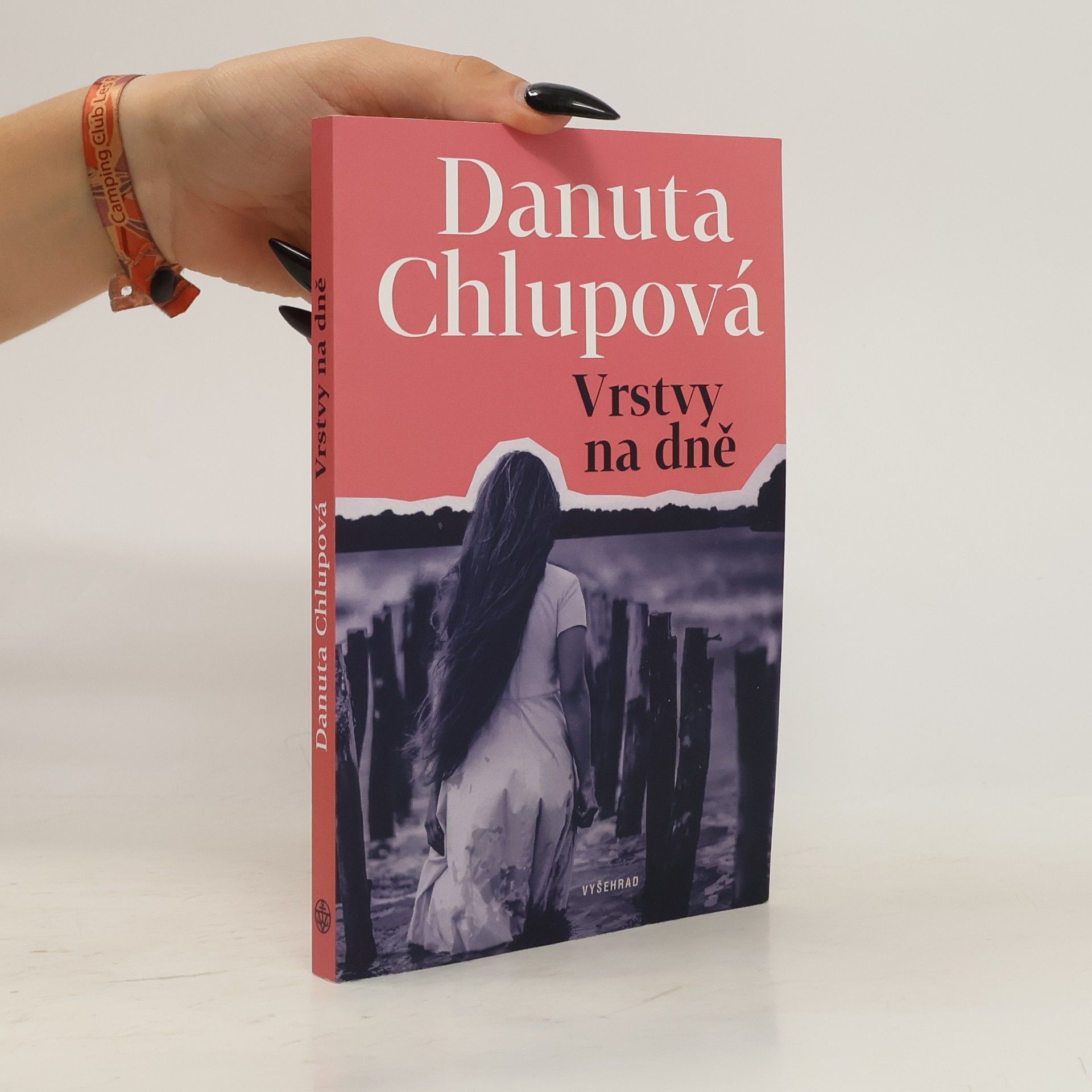 Danuta Chlupová Vrstvy na dně