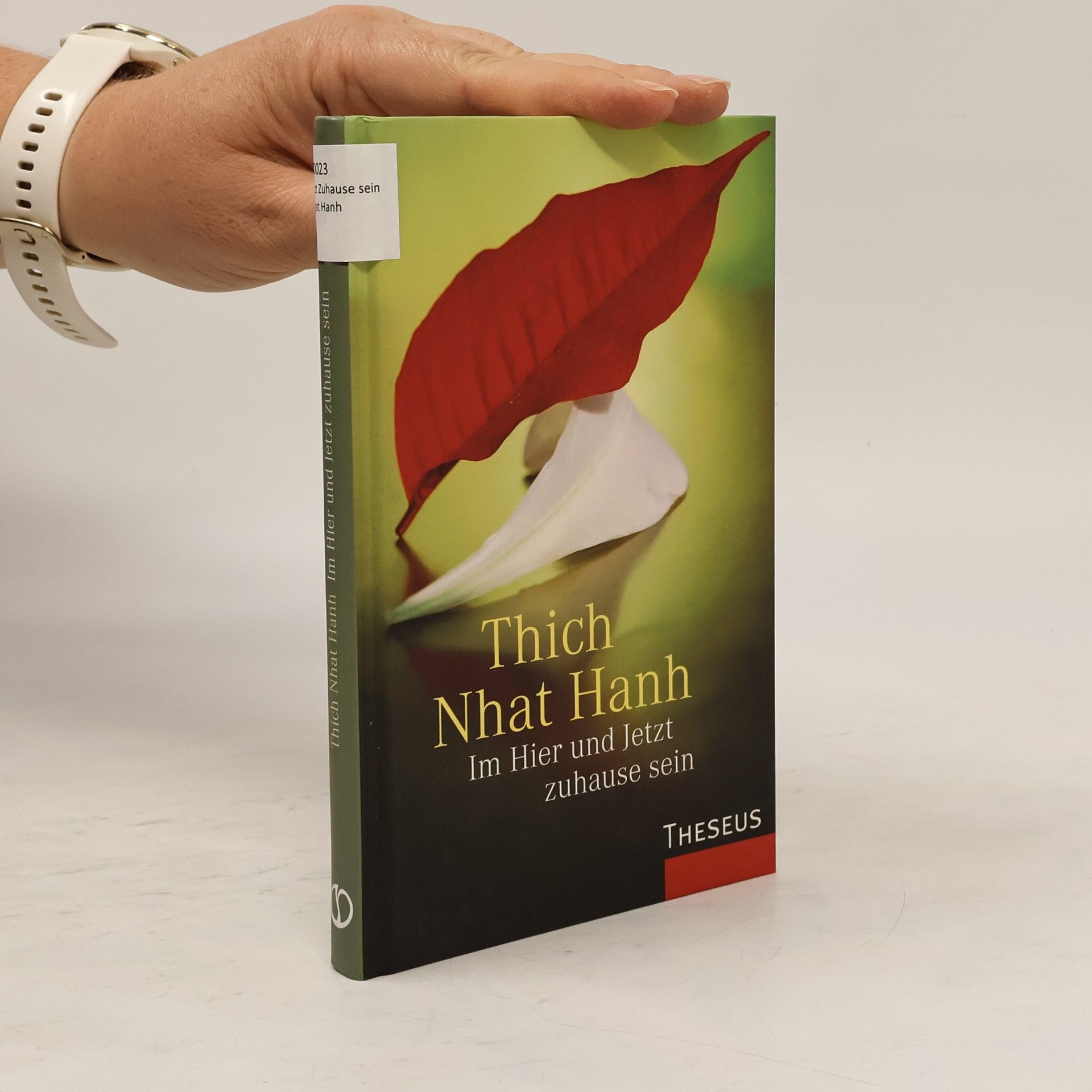 Thích Nhất Hạnh Im Hier und Jetzt zuhause sein