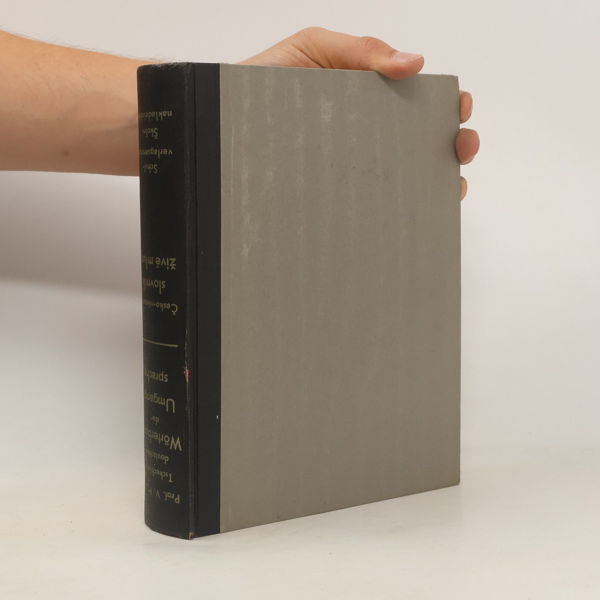V. Hulík Tschechisch-deutsches Wörterbuch der Umgangssprache. Česko-německý slovník živé mluvy