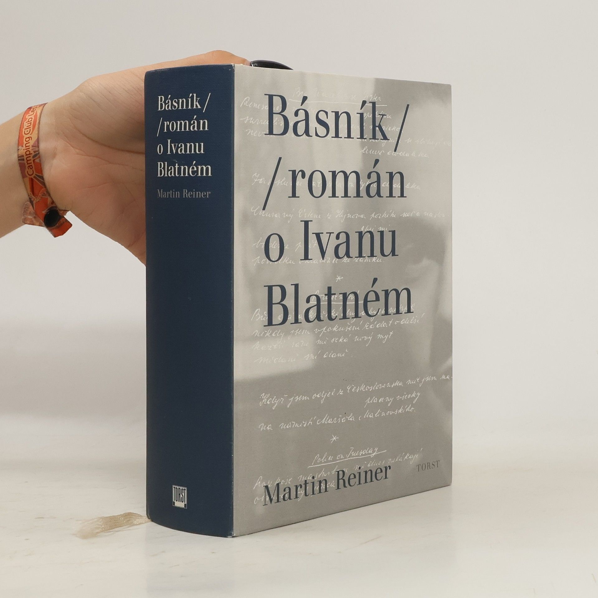 Martin Reiner Básník. Román o Ivanu Blatném