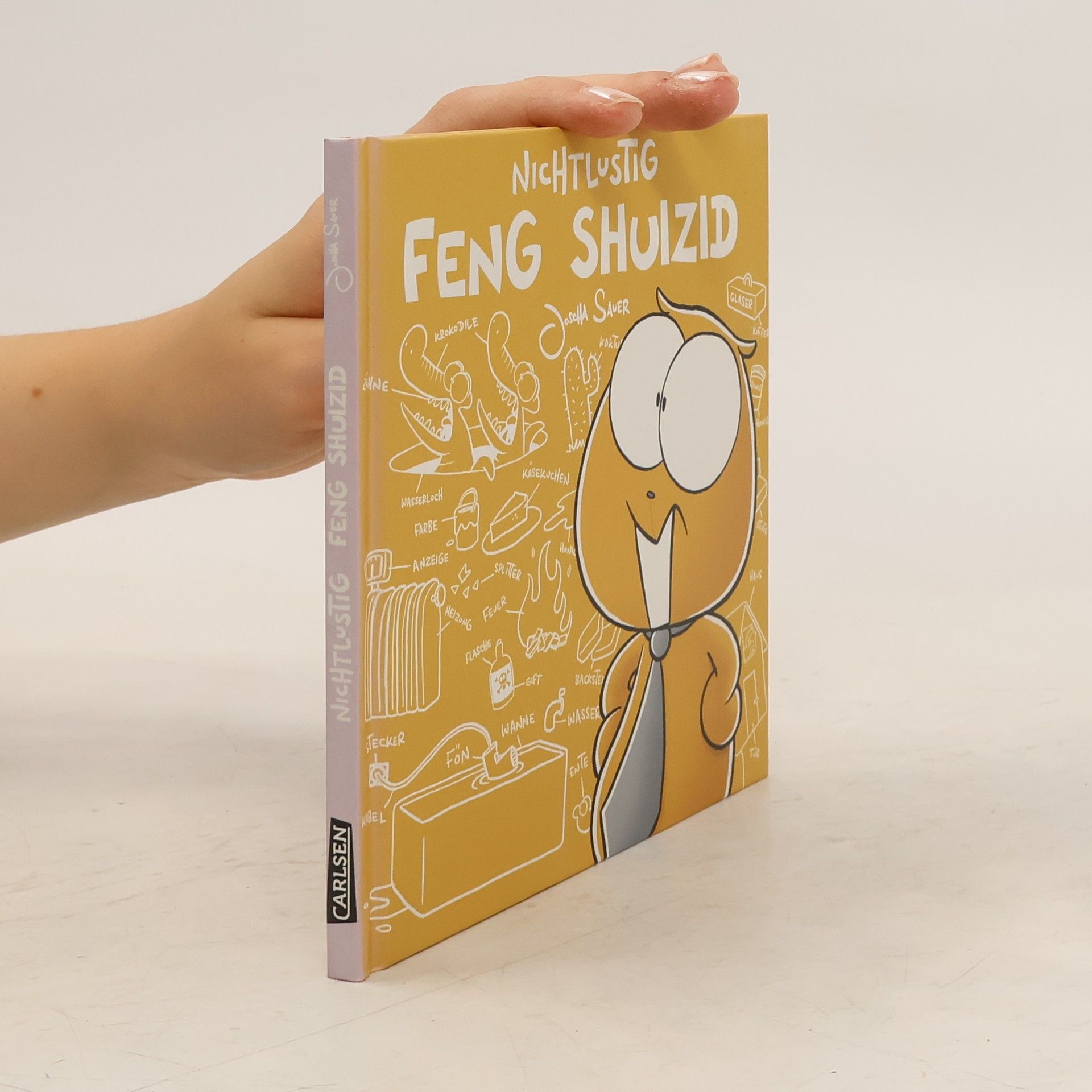 Joscha Sauer Nichtlustig - Feng Shuizid