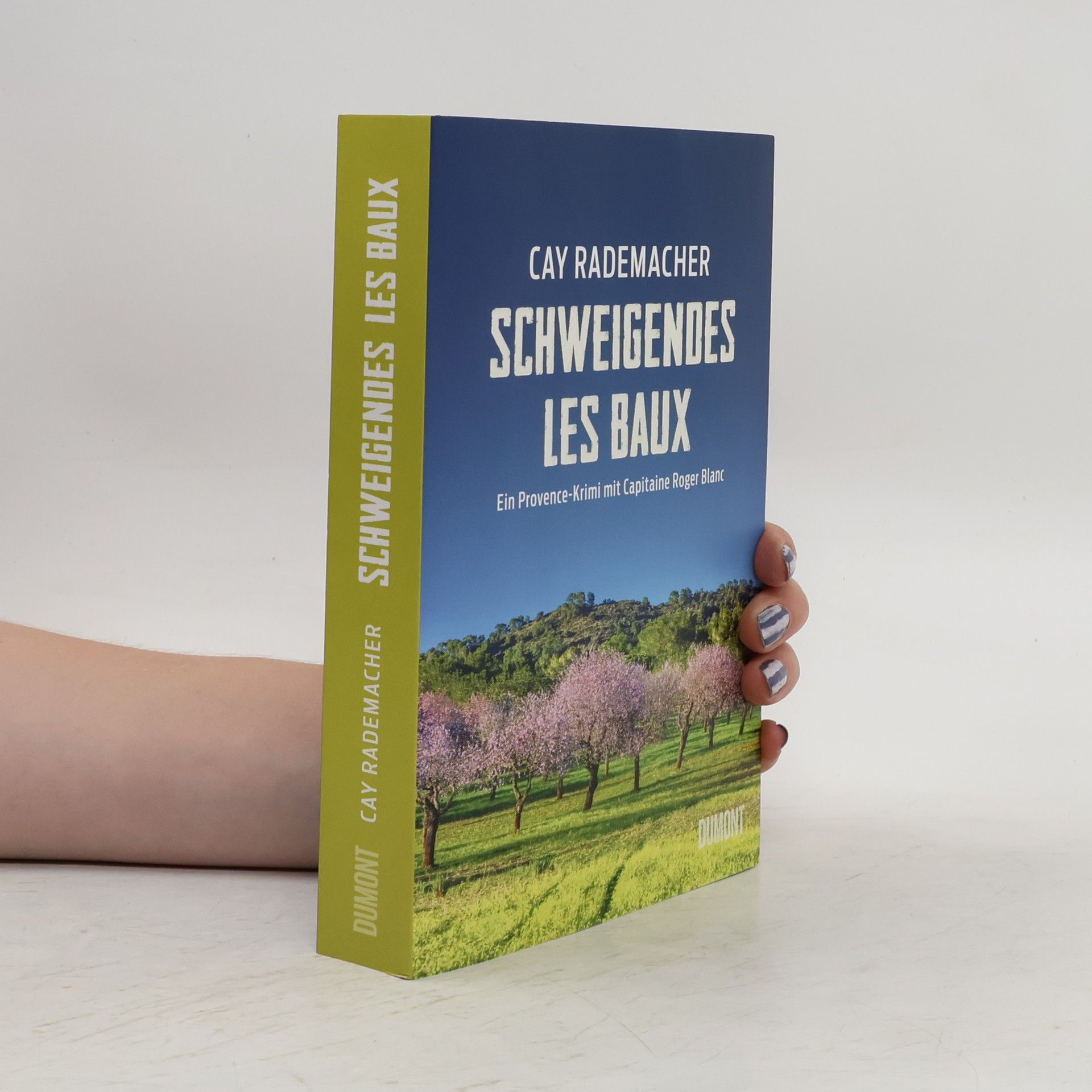 Cay Rademacher Schweigendes Les Baux