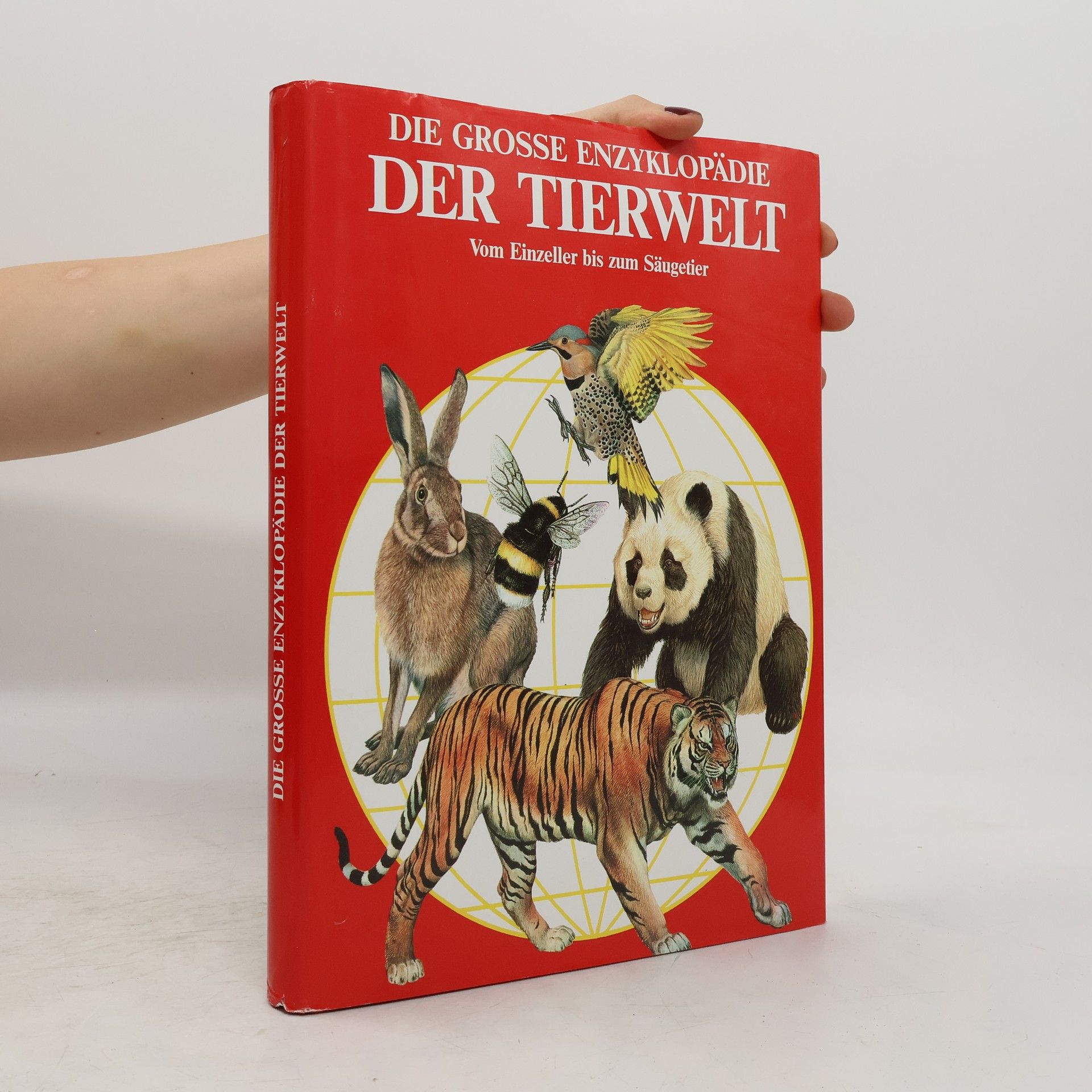 Elena Marcon Das grosse Lexikon der Tierwelt