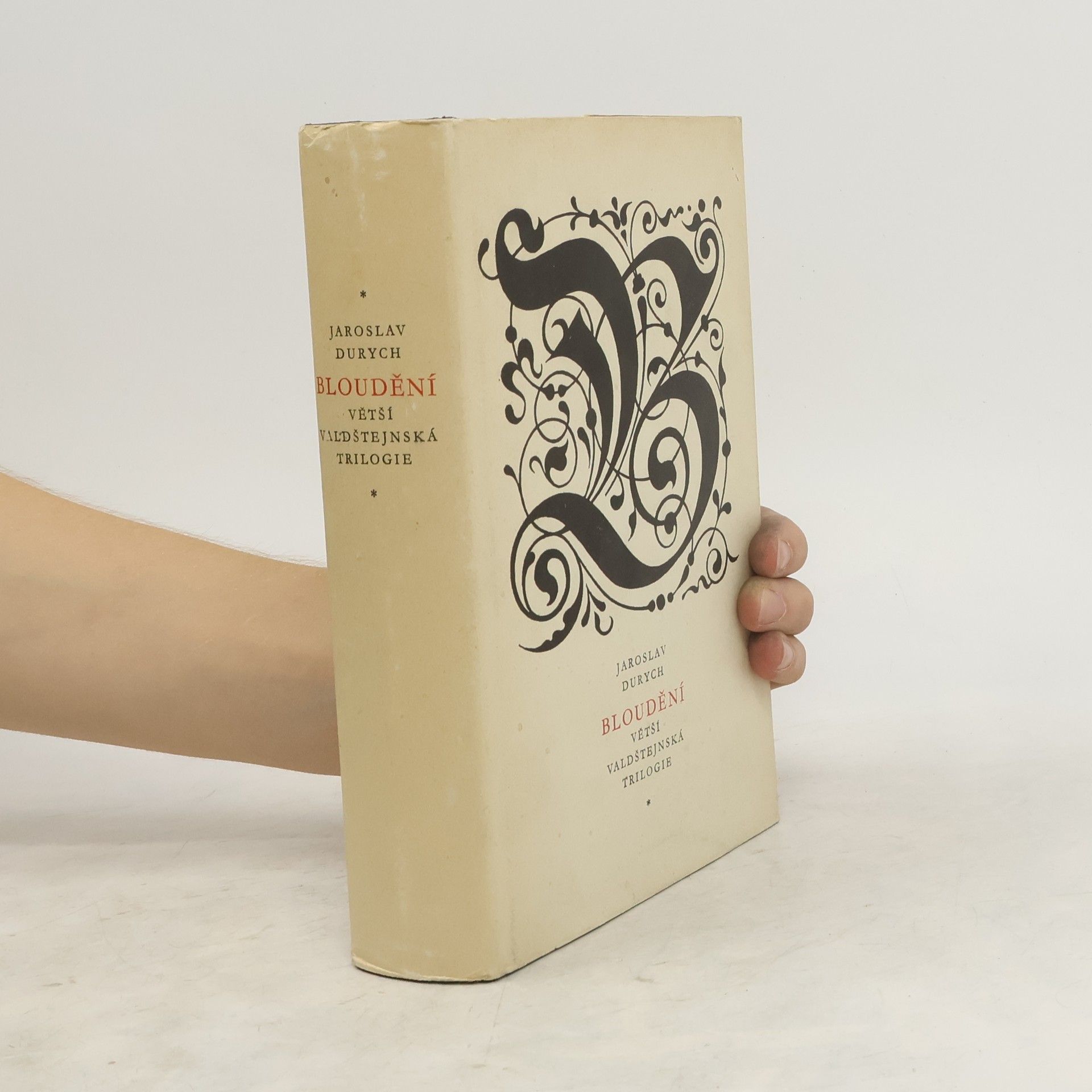 Jaroslav Durych Bloudění. Větší valdštejnská trilogie