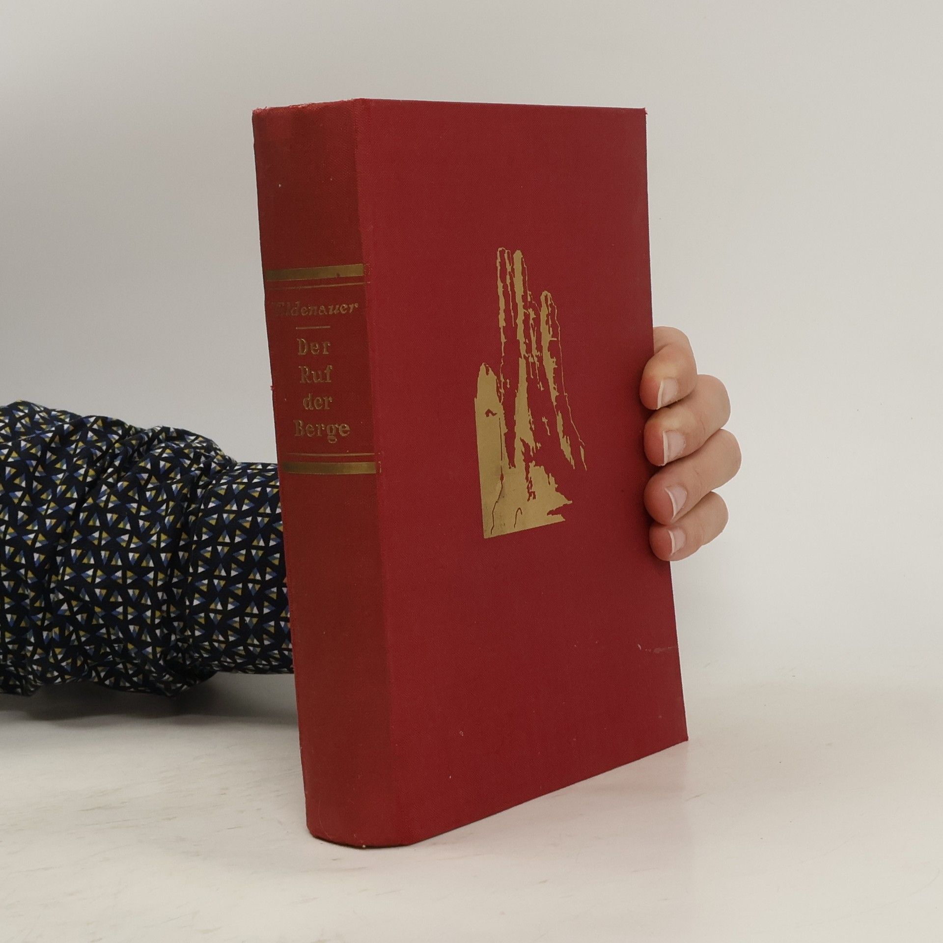 Alois Wildenauer Der Ruf der Berge