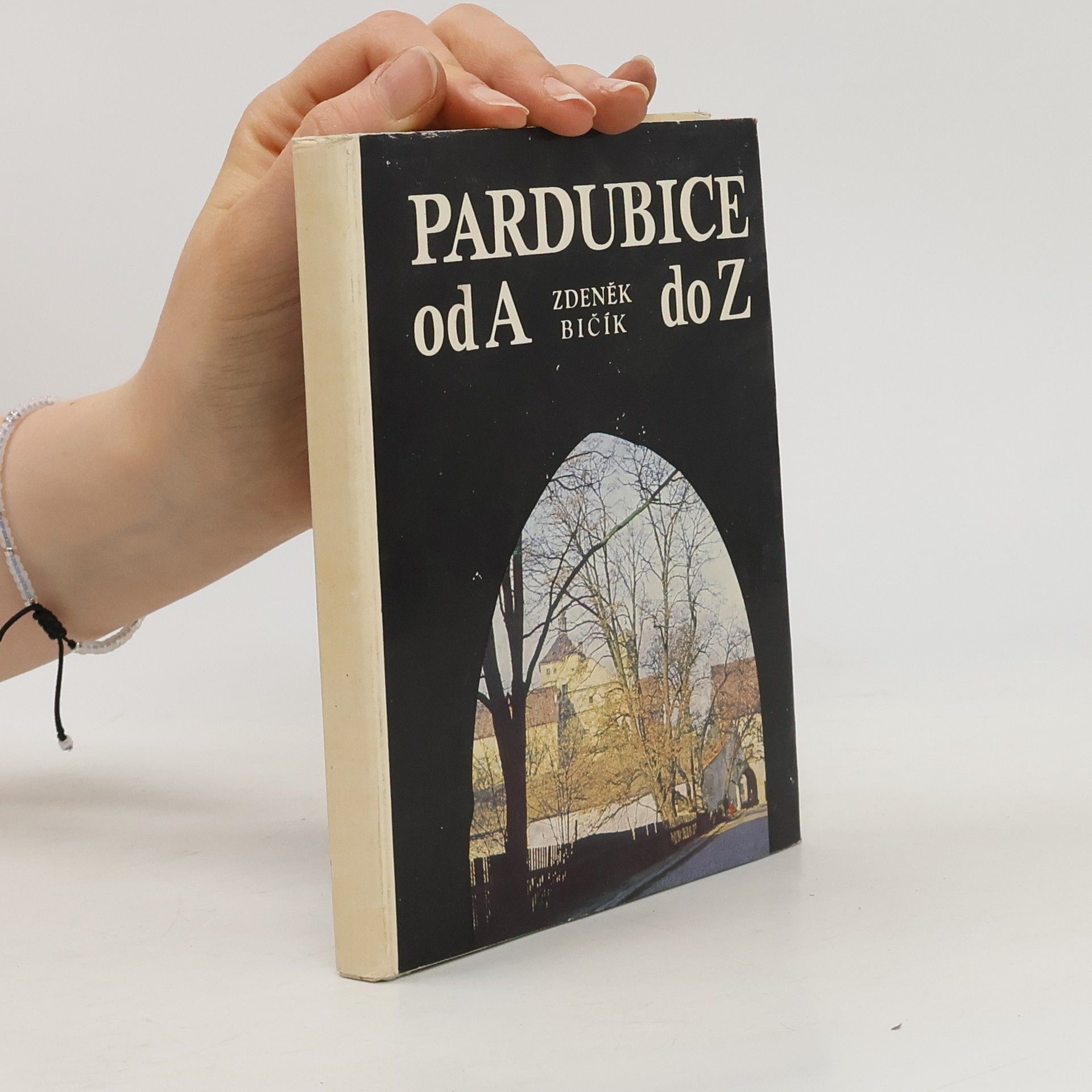 Zdeněk Bičík Pardubice od A do Z