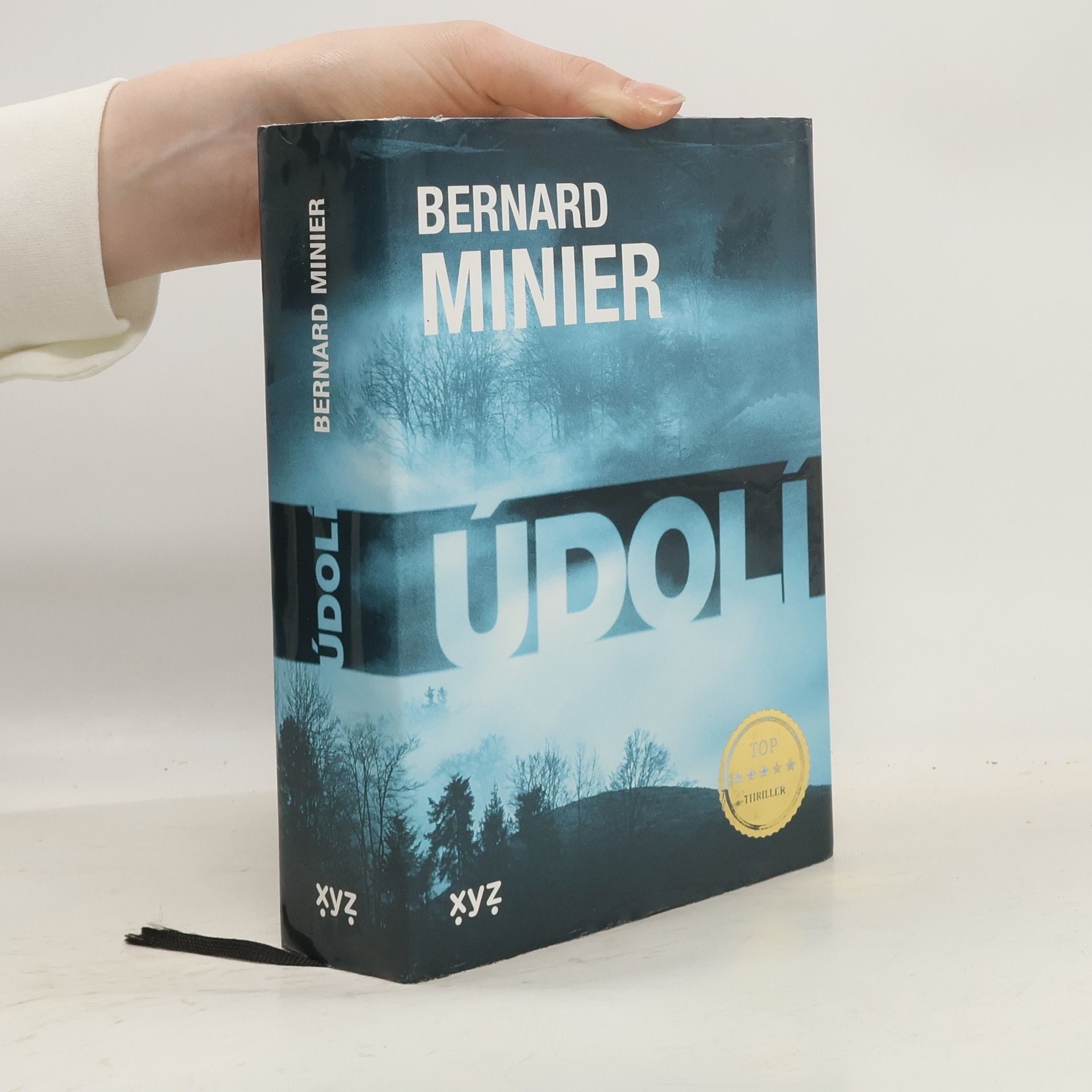 Bernard Minier Údolí