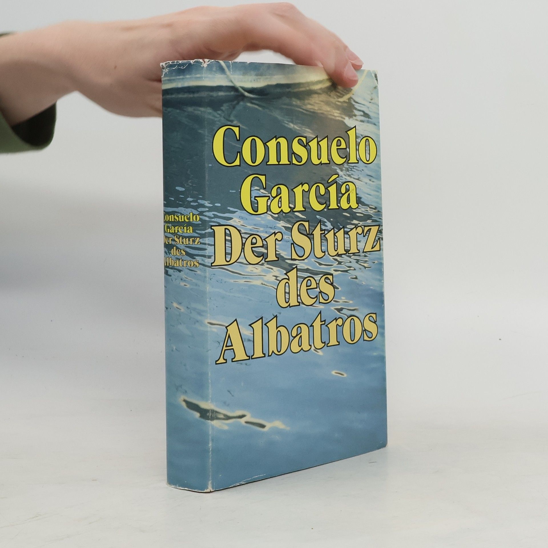 Consuelo García Der Sturz des Albatros