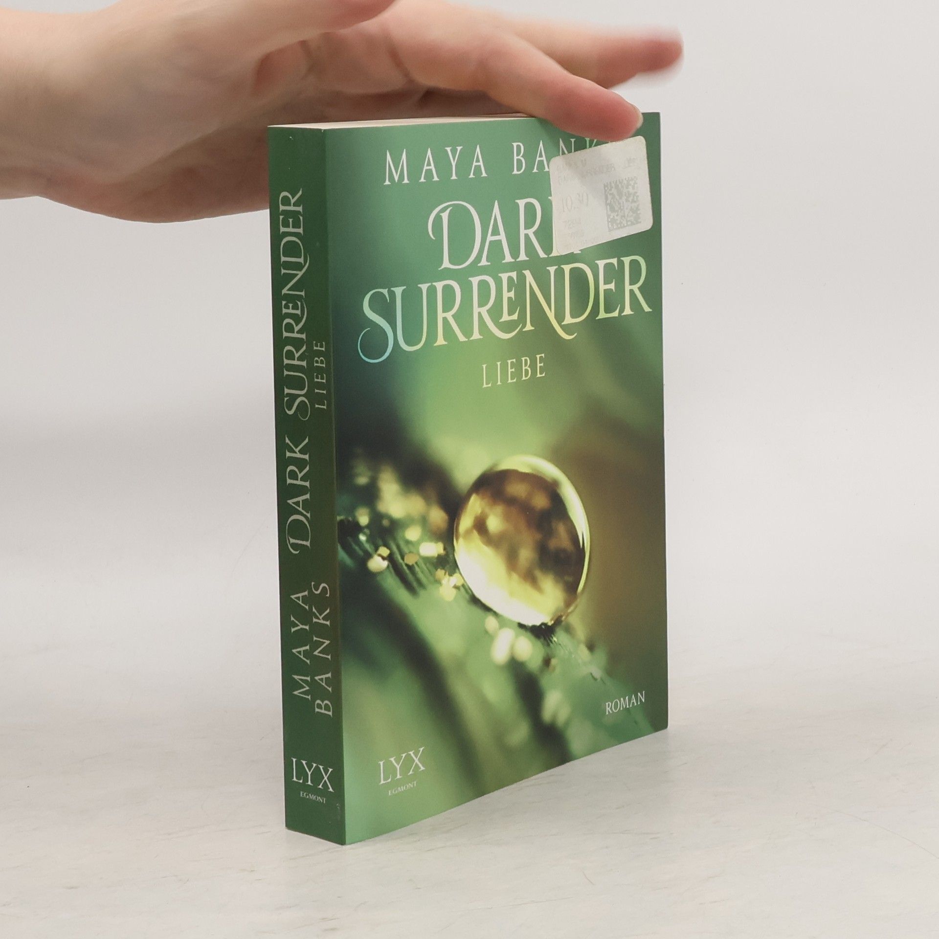 Maya Banks Dark Surrender