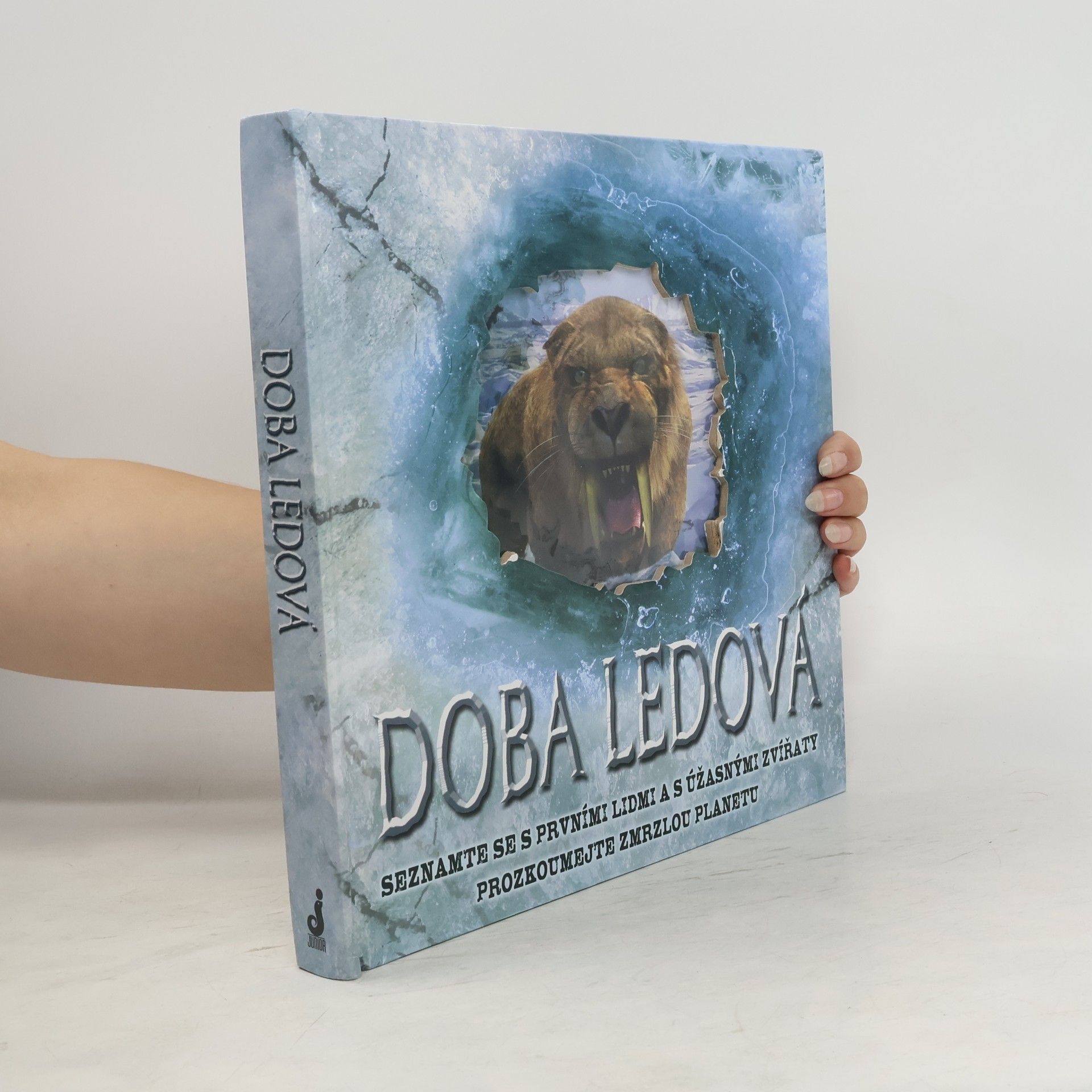 Stewart Ross Doba ledová: Seznamte se s prvními lidmi a s úžasnými zvířaty, prozkoumejte zmrzlou planetu