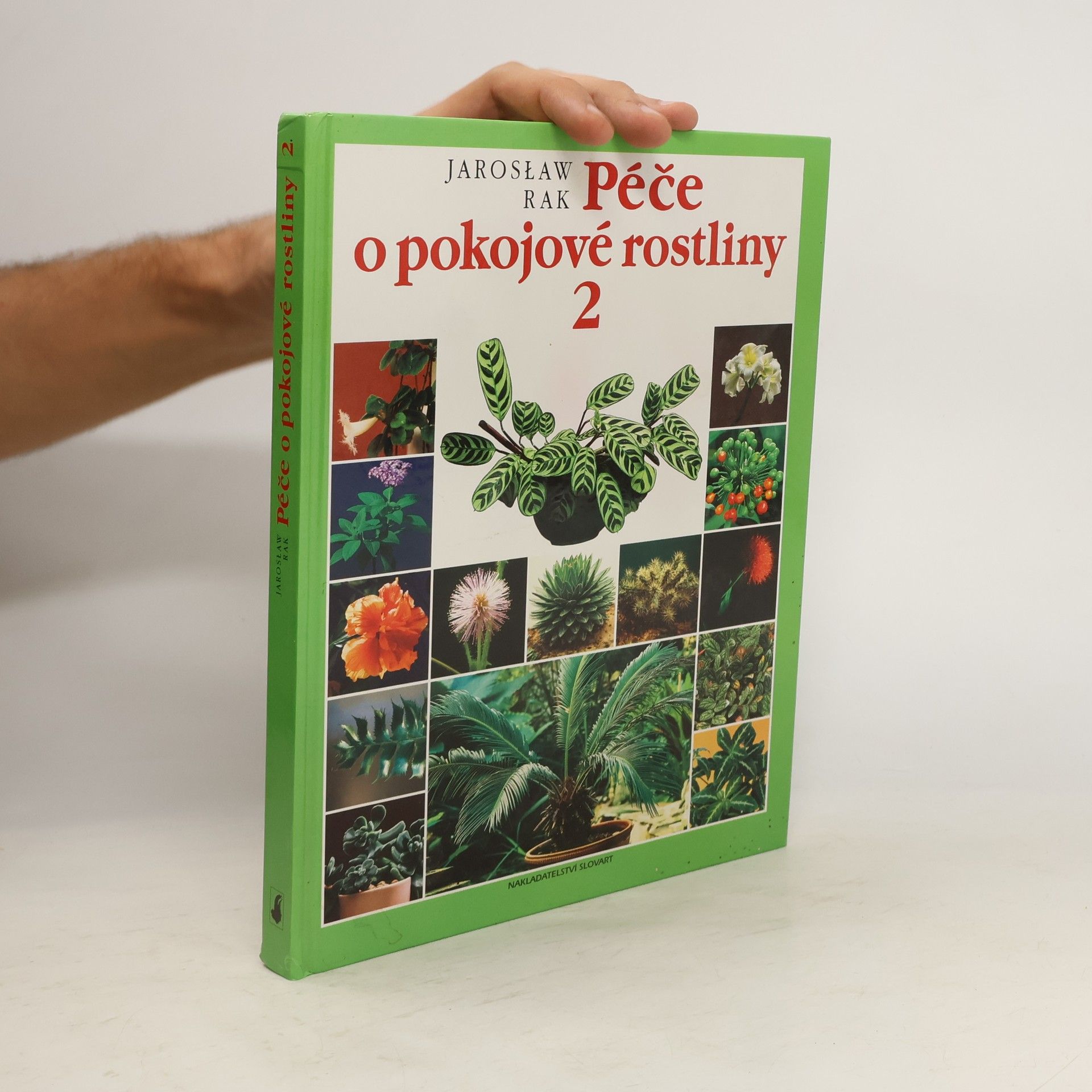 Jarosław Rak Péče o pokojové rostliny 2