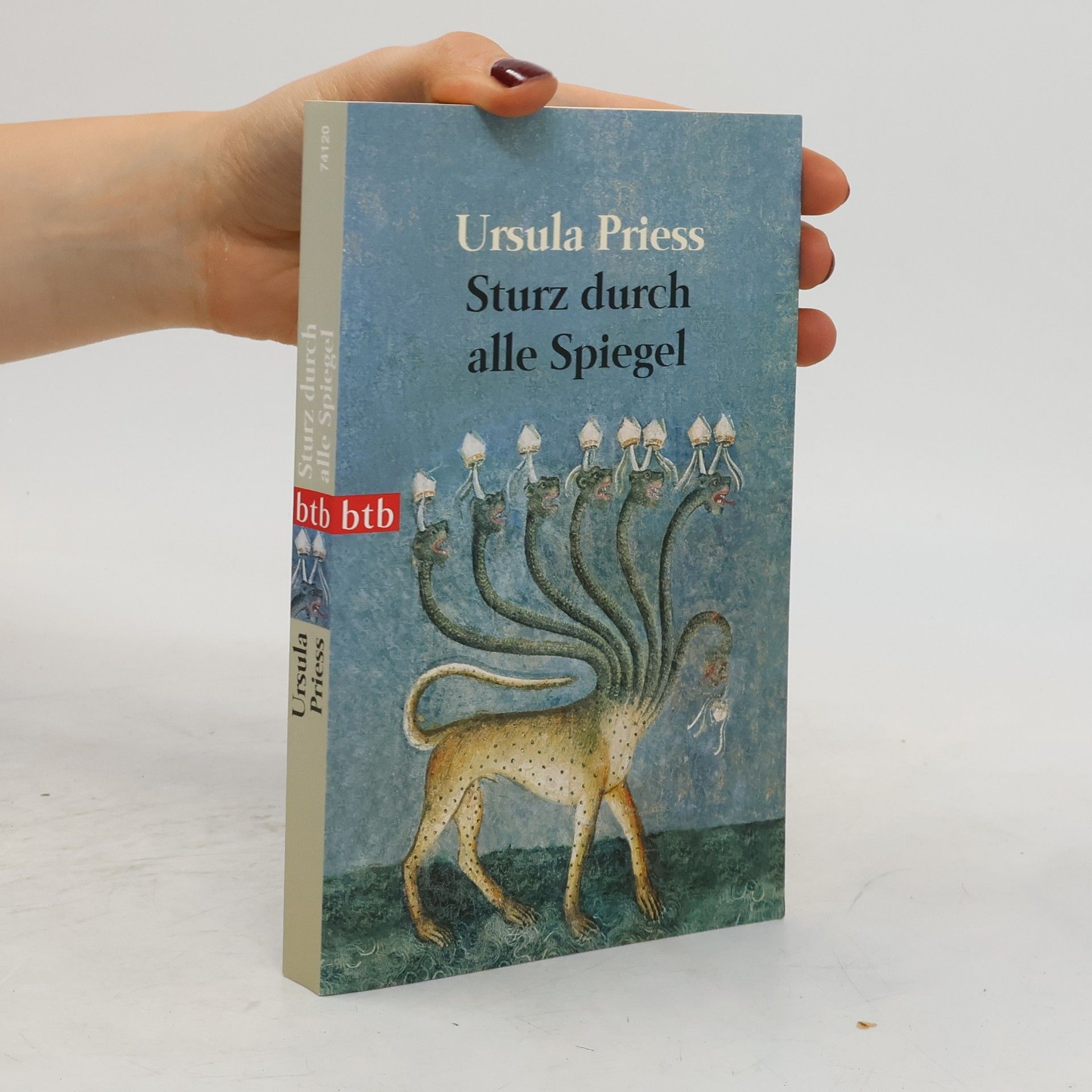 Ursula Priess Sturz durch alle Spiegel