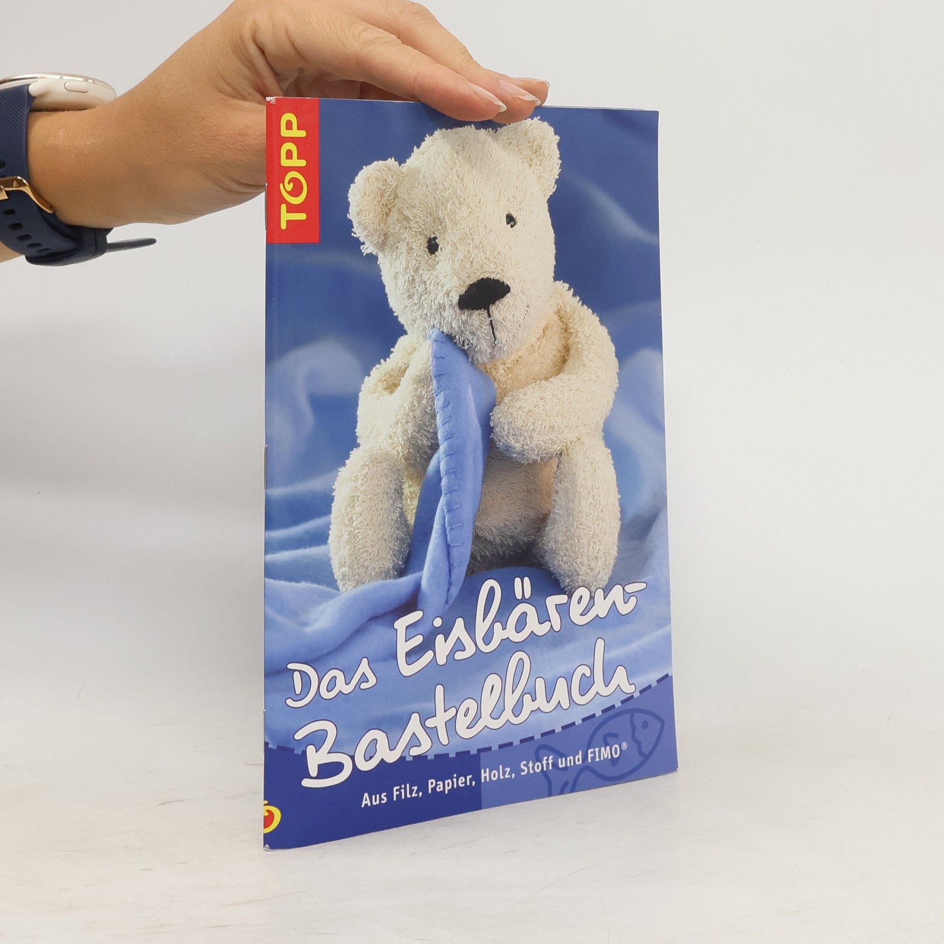 Autorenkollektiv Das Eisbären-Bastelbuch