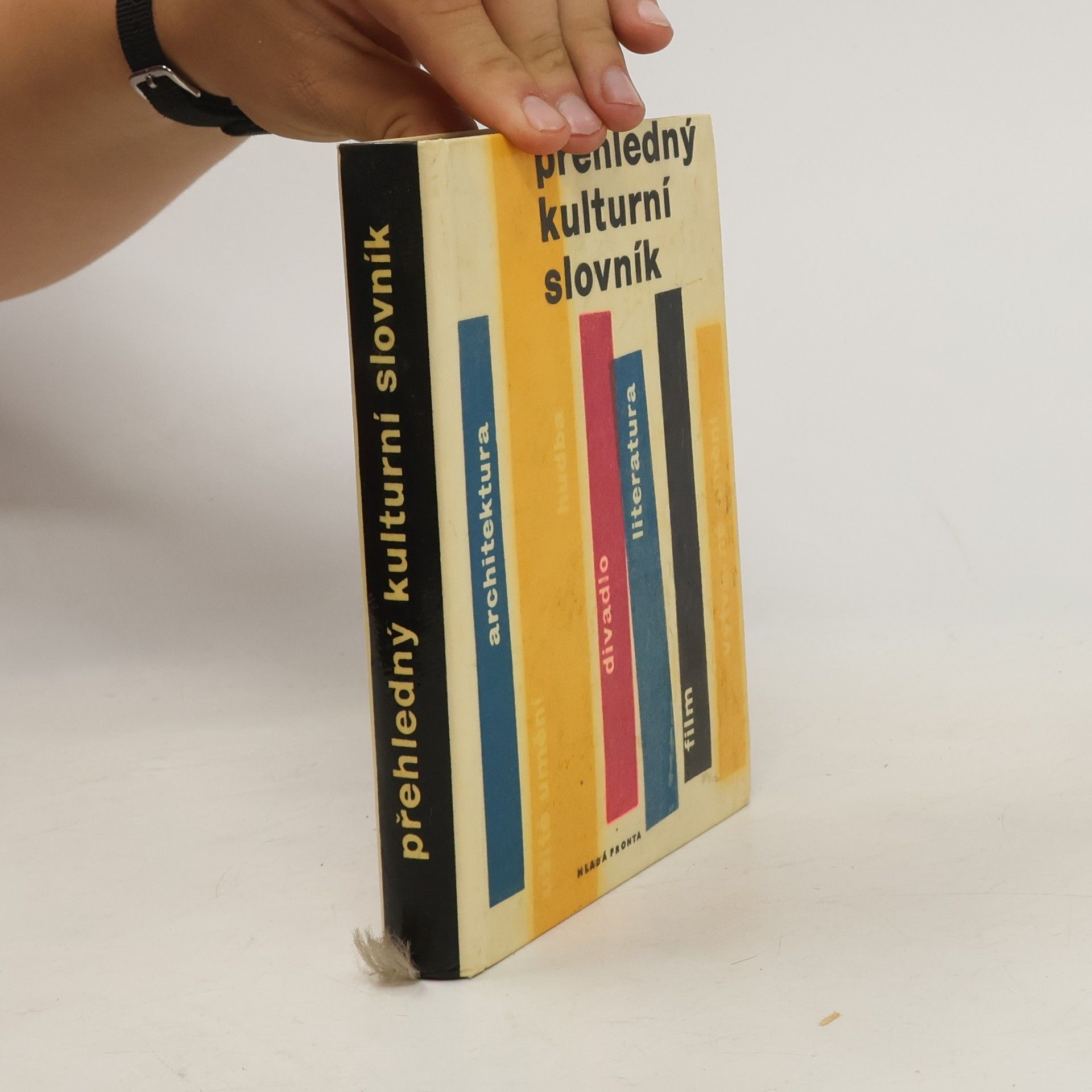 Collectif d'auteurs Přehledný kulturní slovník